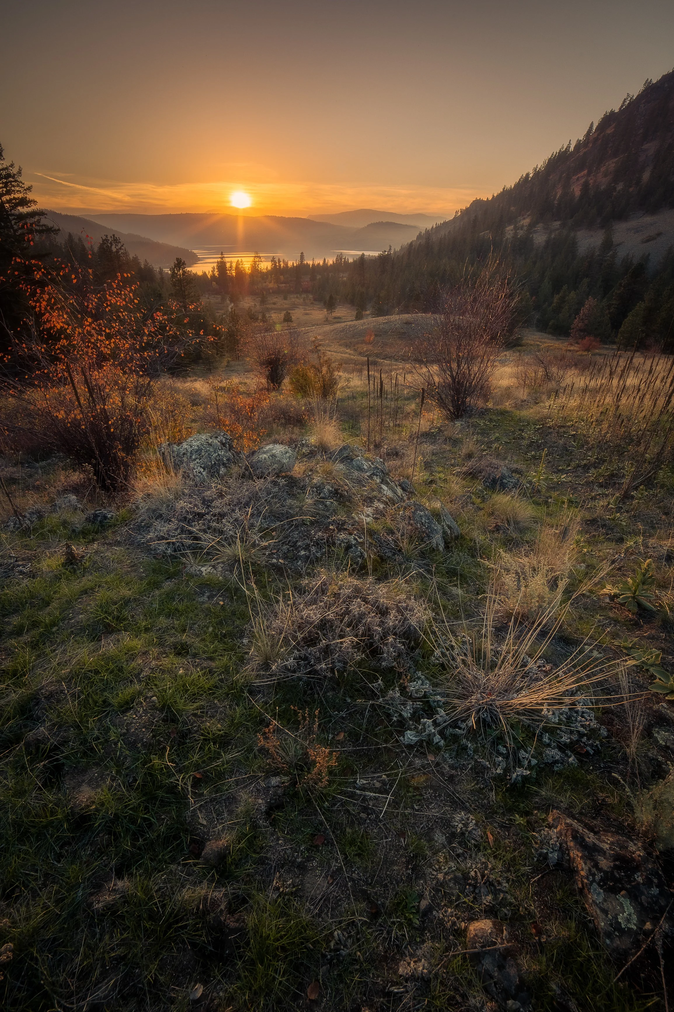 20211019-DSC06883-HDR-Edit-2.jpg