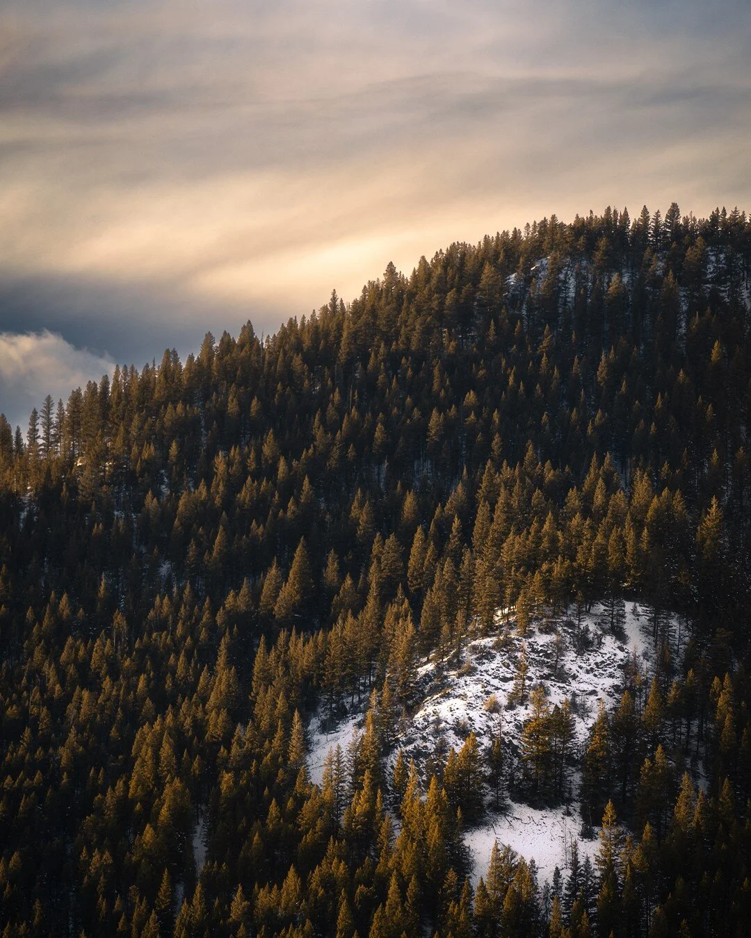 Logged in on the logging road.
&bull;
&bull;
&bull;
#moodnation #visualsoflife #moodygrams #wildernessculture #visualsofearth #sonyalpha #globalcapture #visualambassadors #agameoftones #the_mirror_of_our_souls #sonyimages #canadiancreatives #natgeotr
