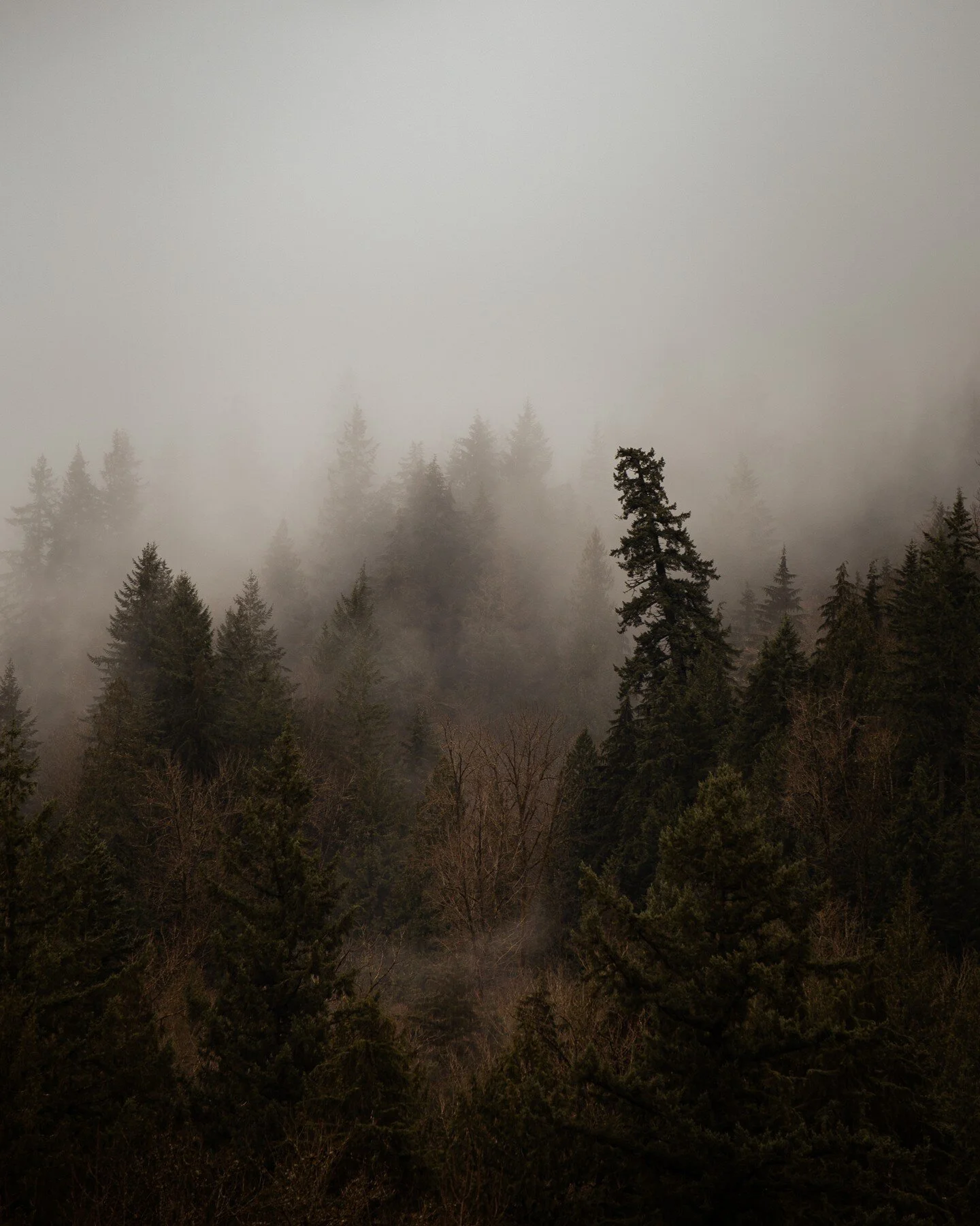 the spook is inviting tho.
&bull;
&bull;
&bull;
#moodnation #visualsoflife #moodygrams #wildernessculture #visualsofearth #sonyalpha #globalcapture #visualambassadors #agameoftones #the_mirror_of_our_souls #sonyimages #canadiancreatives #natgeotravel