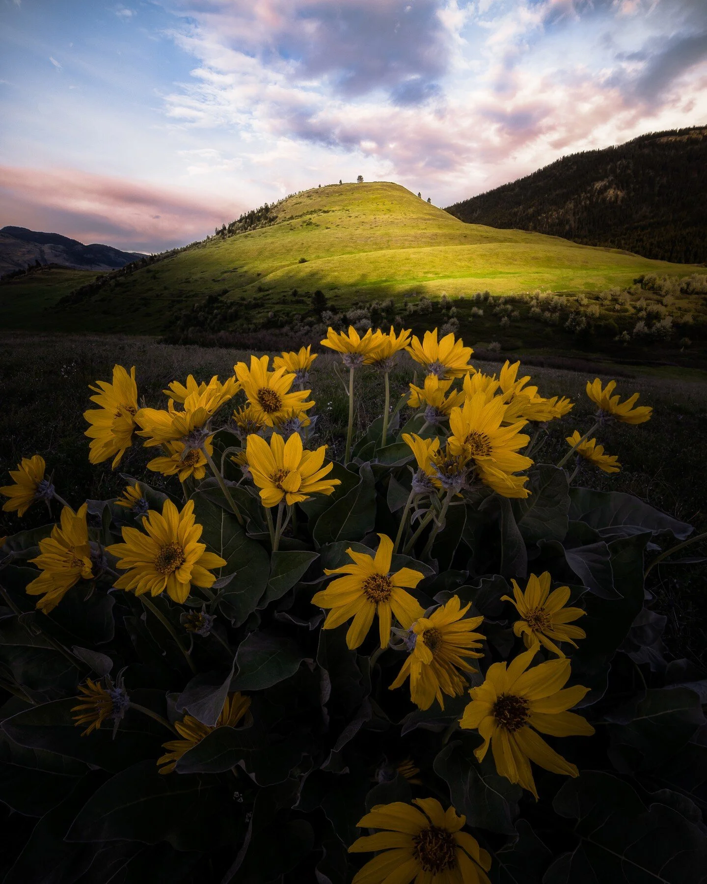 hell uva hill
#travelbc #exploretocreate #explorebc #livelovecanada #landscape #okanagan #sonyalpha #earth_shotz #earthplanet_pics #earthoutdoors #depthsofearth #earthfocus #earthpix m #paradisecanada #insidecanada #tourcanada #canadasworld #canada_p
