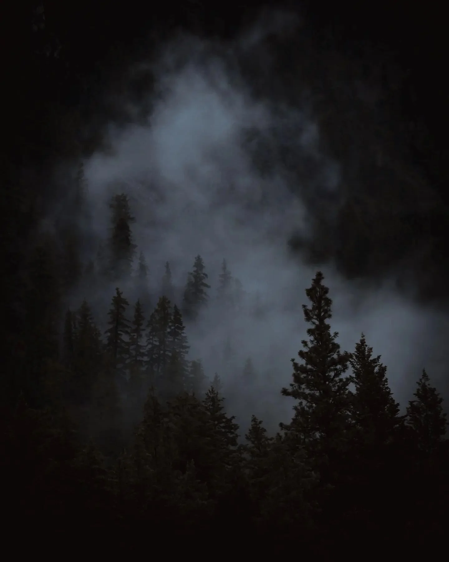 The air is wet Barb
&bull;
&bull;
&bull;
#moodnation #visualsoflife #moodygrams #wildernessculture #visualsofearth #sonyalpha #globalcapture #visualambassadors #agameoftones #the_mirror_of_our_souls #sonyimages #canadiancreatives #natgeotravel #lensb