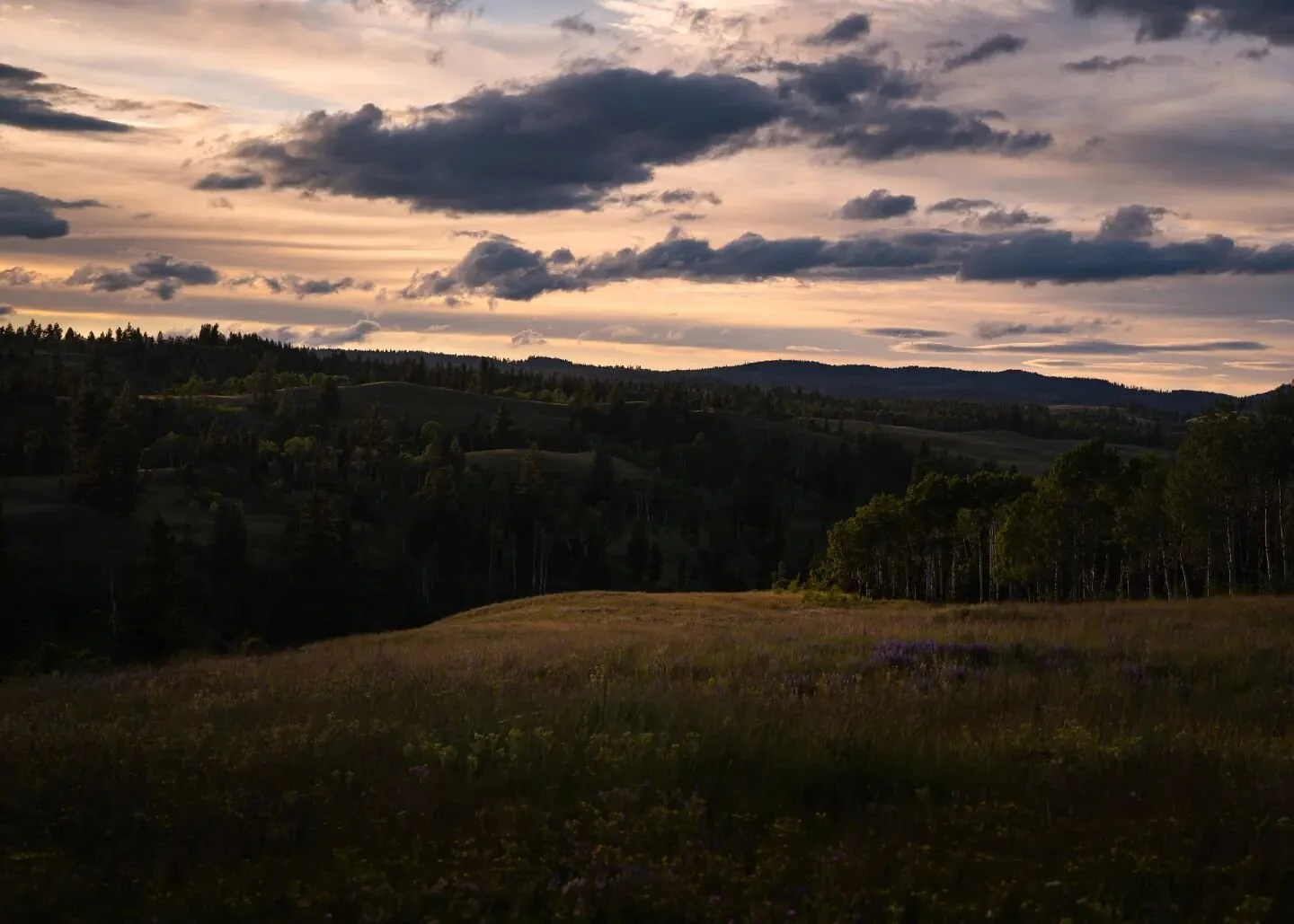 Sometimes you just gotta jump Barb's wire.
 ➼
➼
➼
➼
➼
#natureisbeautiful #naturelover #naturelovers #naturephotography #natureshots #naturegram #nature_perfection #nature_lovers #naturehippys #nature_shooters #natureonly #natureseekers #natureporn #n