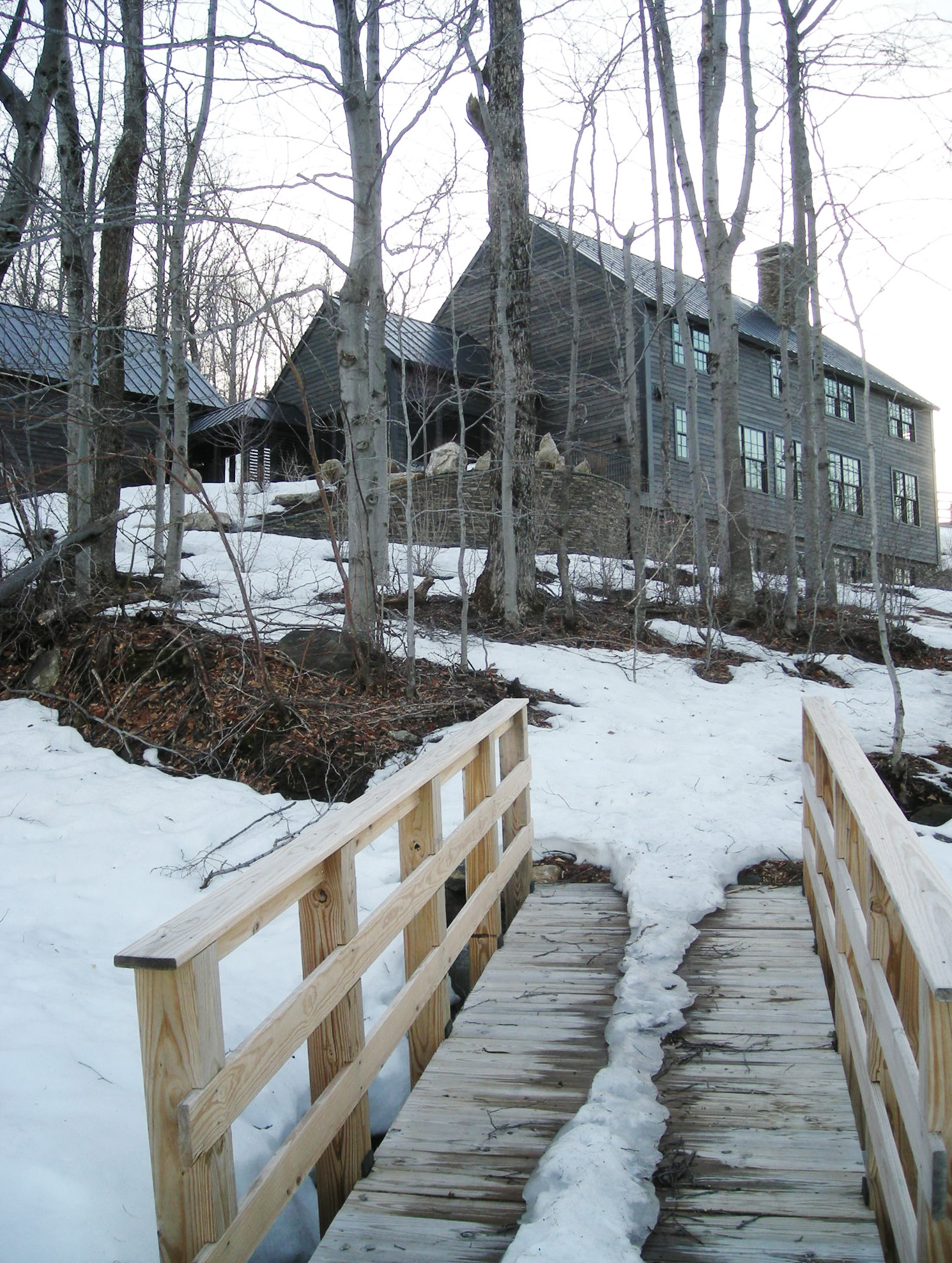 Simon VT_5 in color.JPG