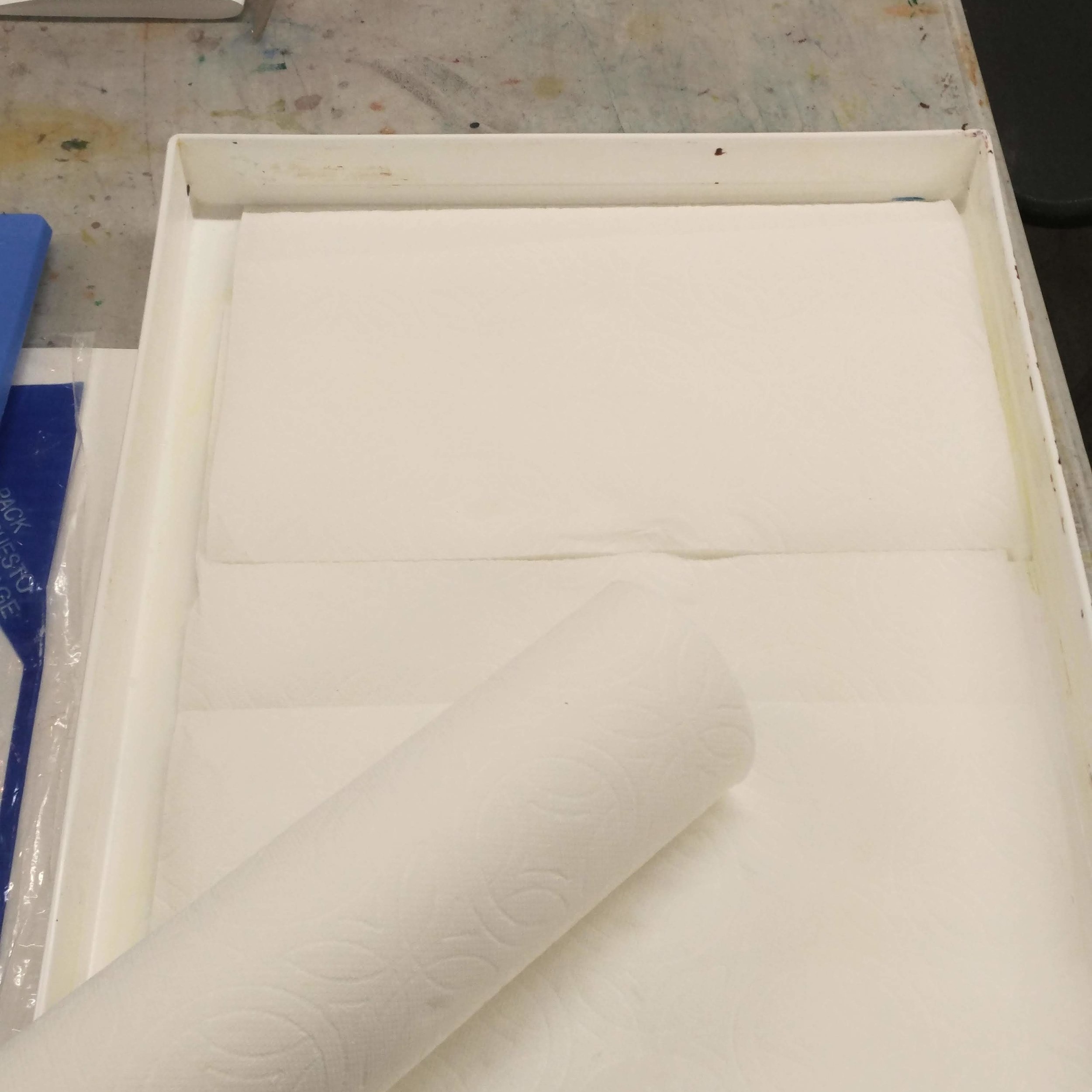Step Two: Moist paper towels into the tray