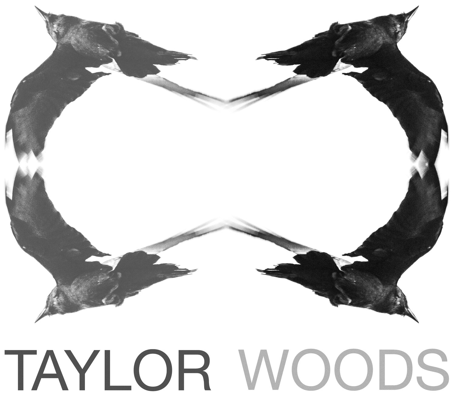 Taylor Woods