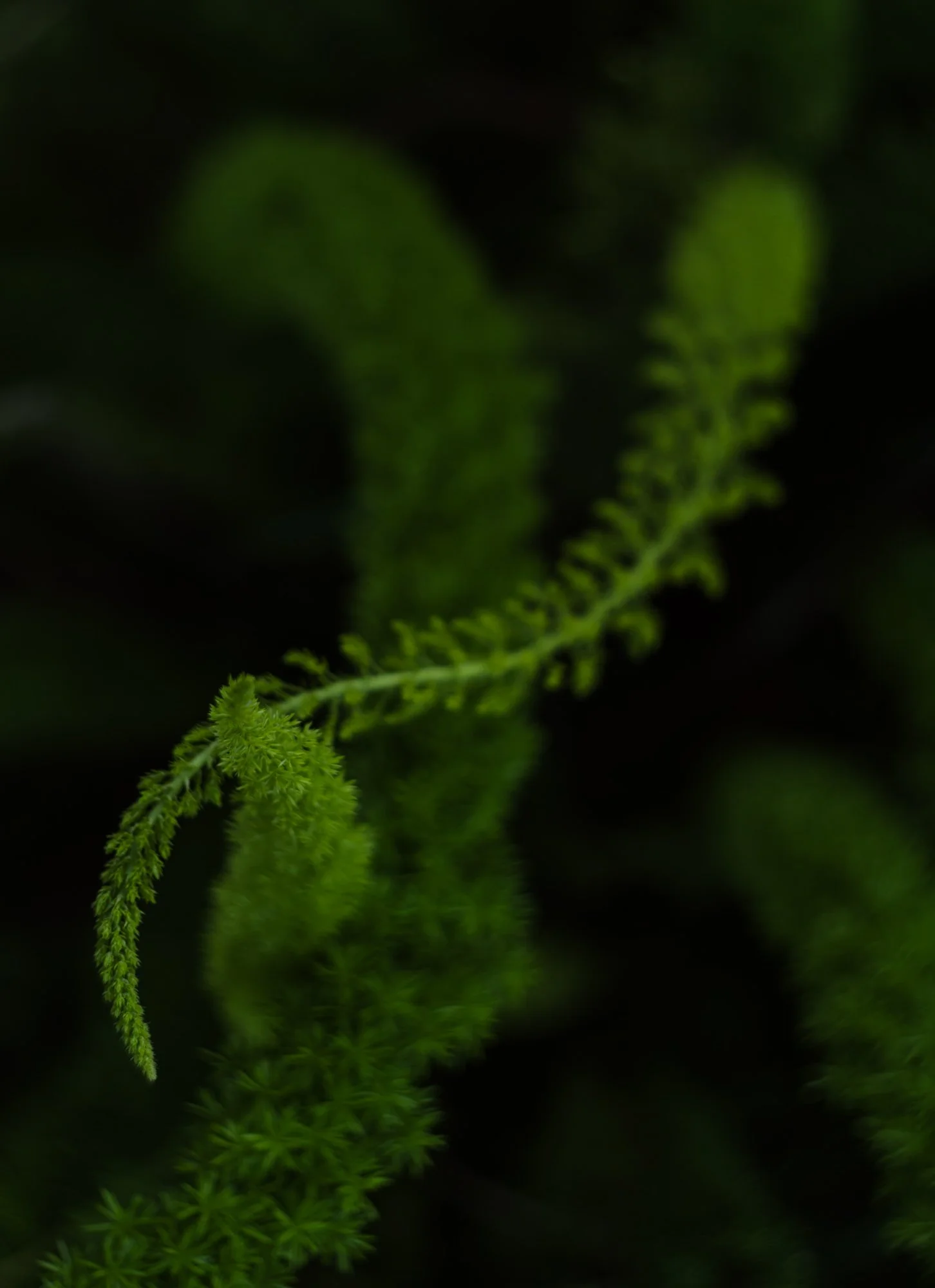 1TW08249.JPG