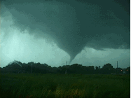 img99.gif