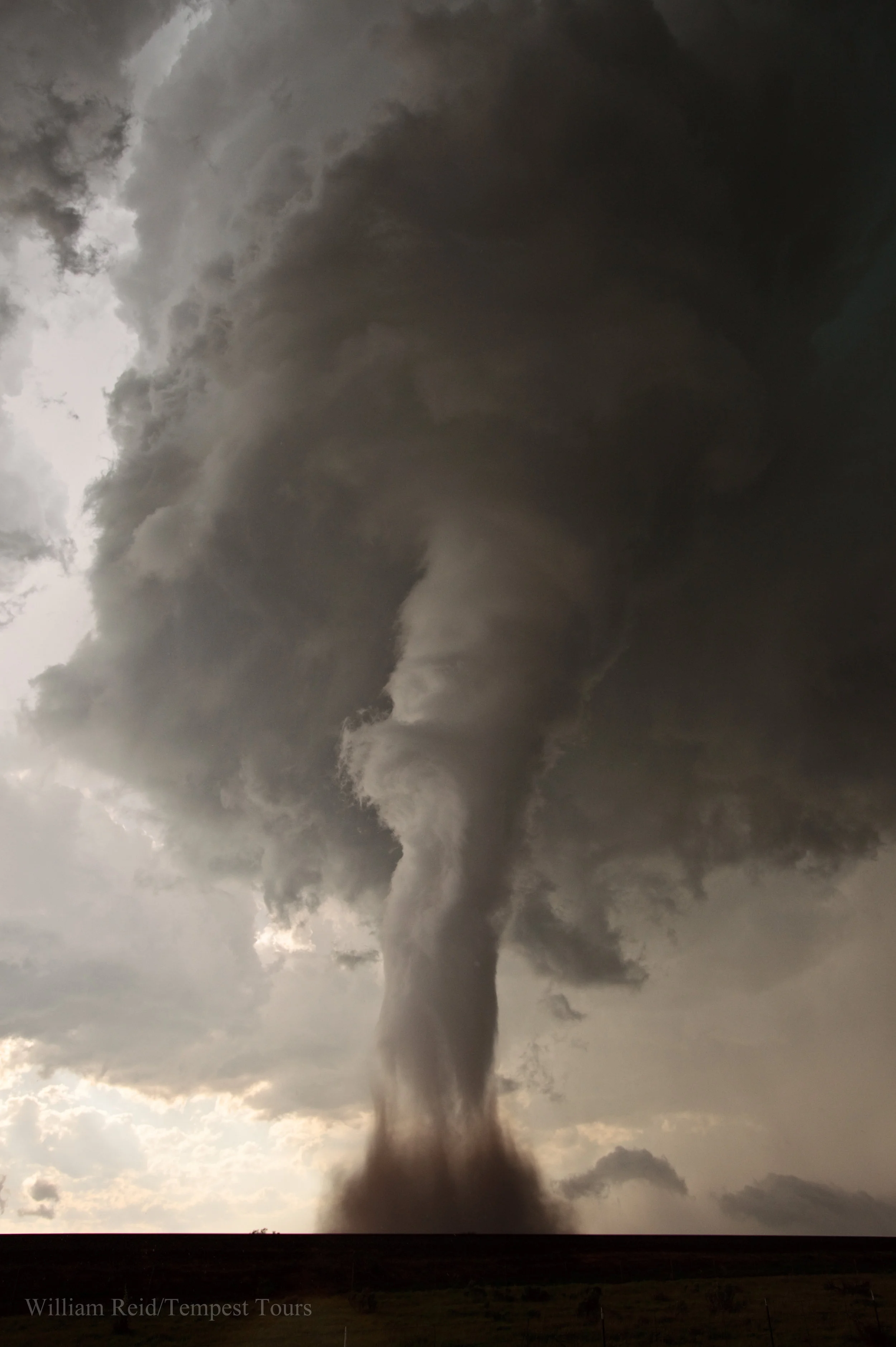 WR20100307019.jpg
