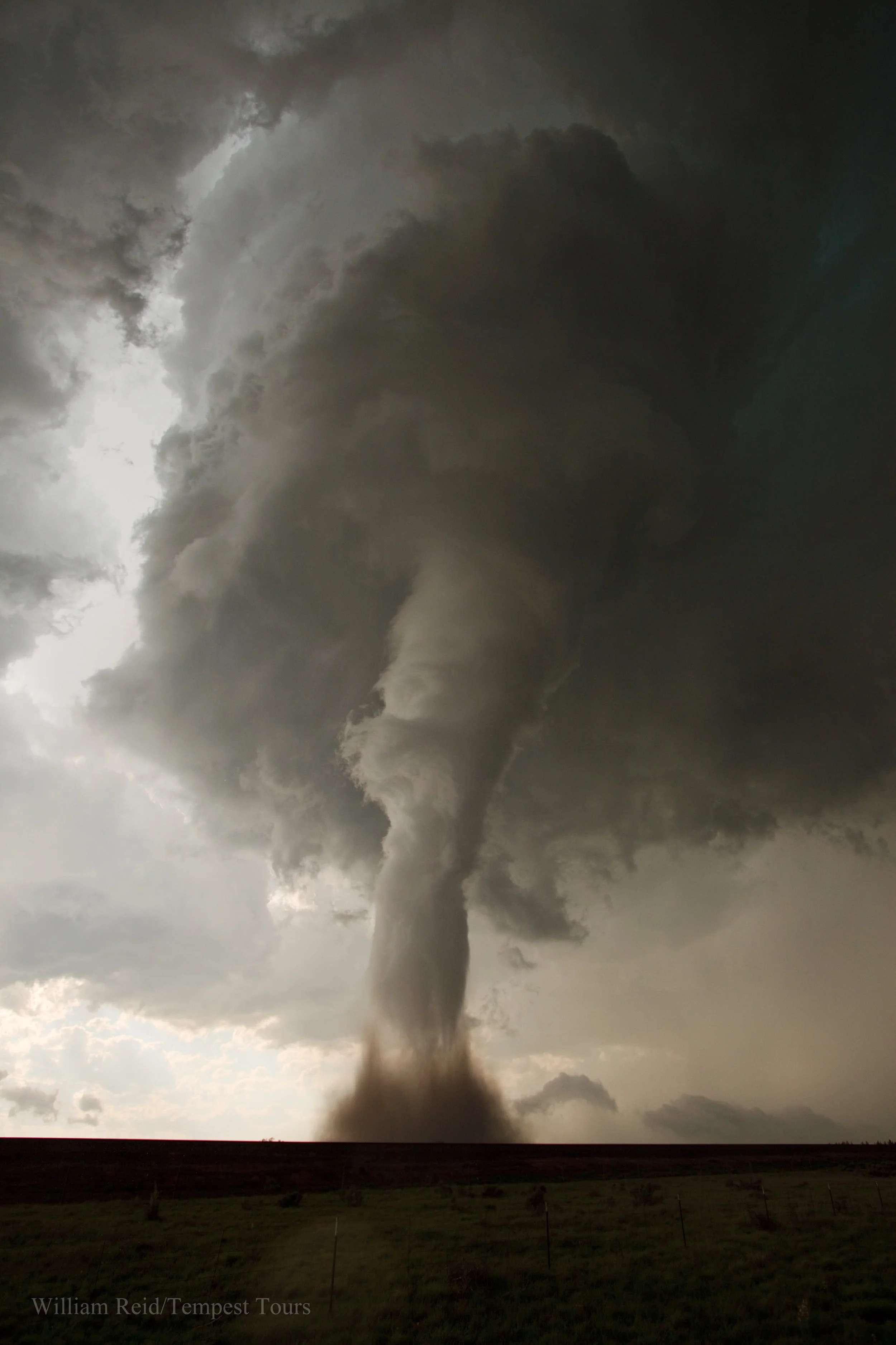 WR20100307022.jpg