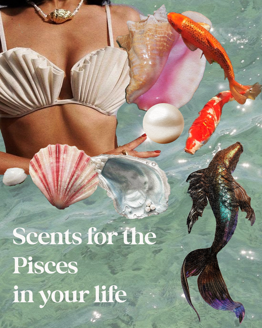 AquariusCollage copy.png