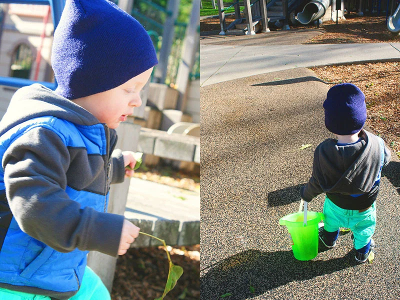 littlexplorer.jpg