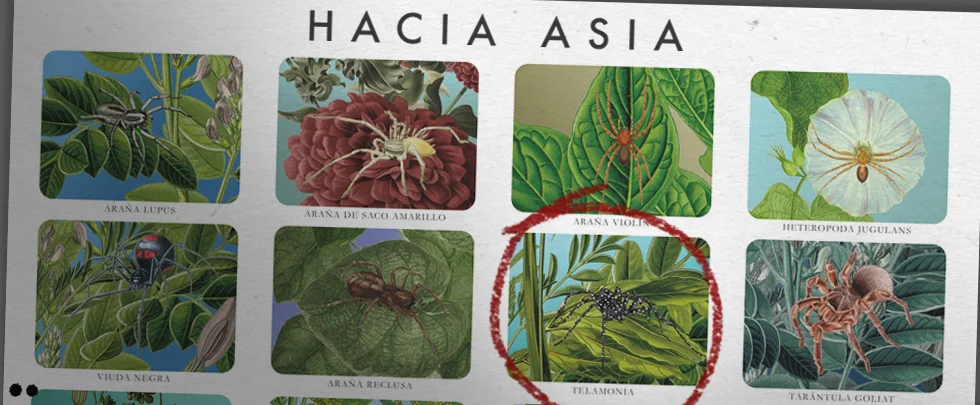 ¡Cuídate de las arañas!