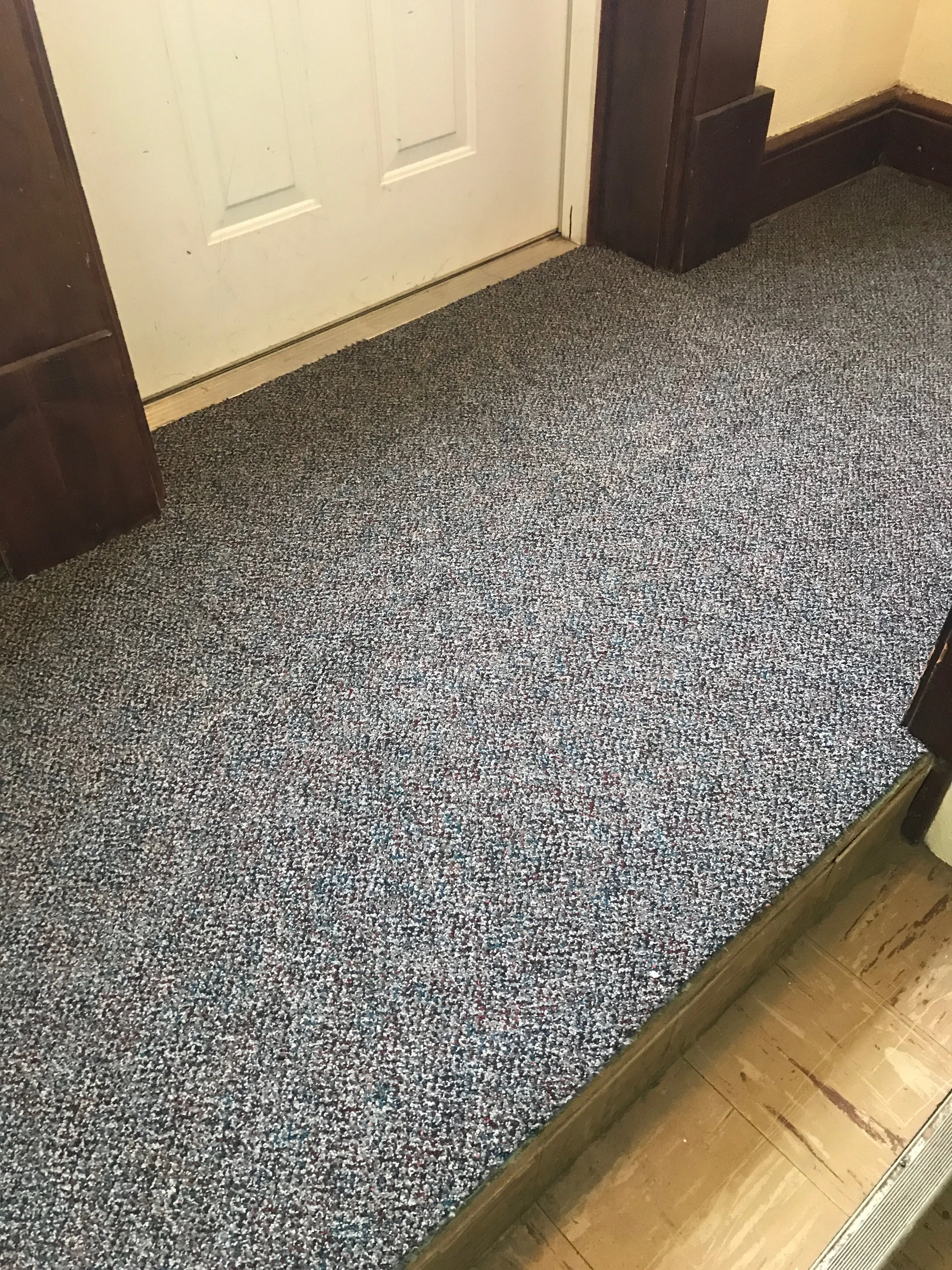 New Carpet