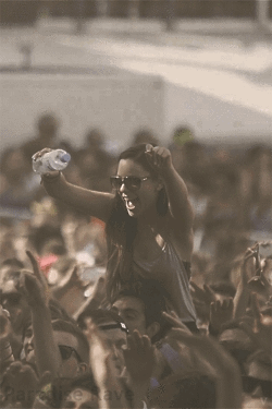 festival gif1.gif