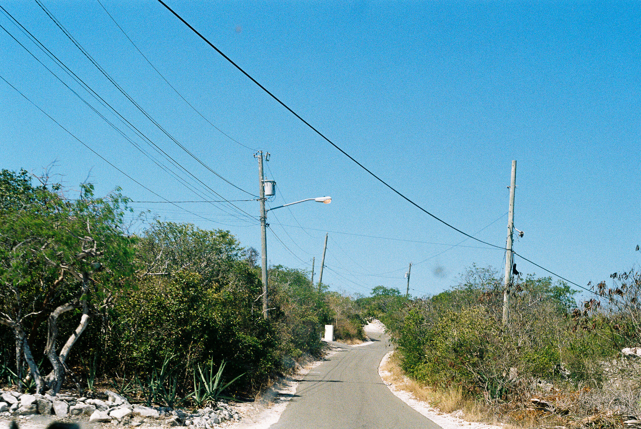 450037003859-R1-009-3.jpg