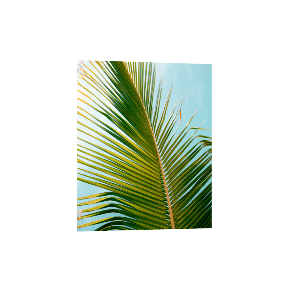 ptq_1_6_0_170_1365_1706_0_false_ffffff_0_0_.png