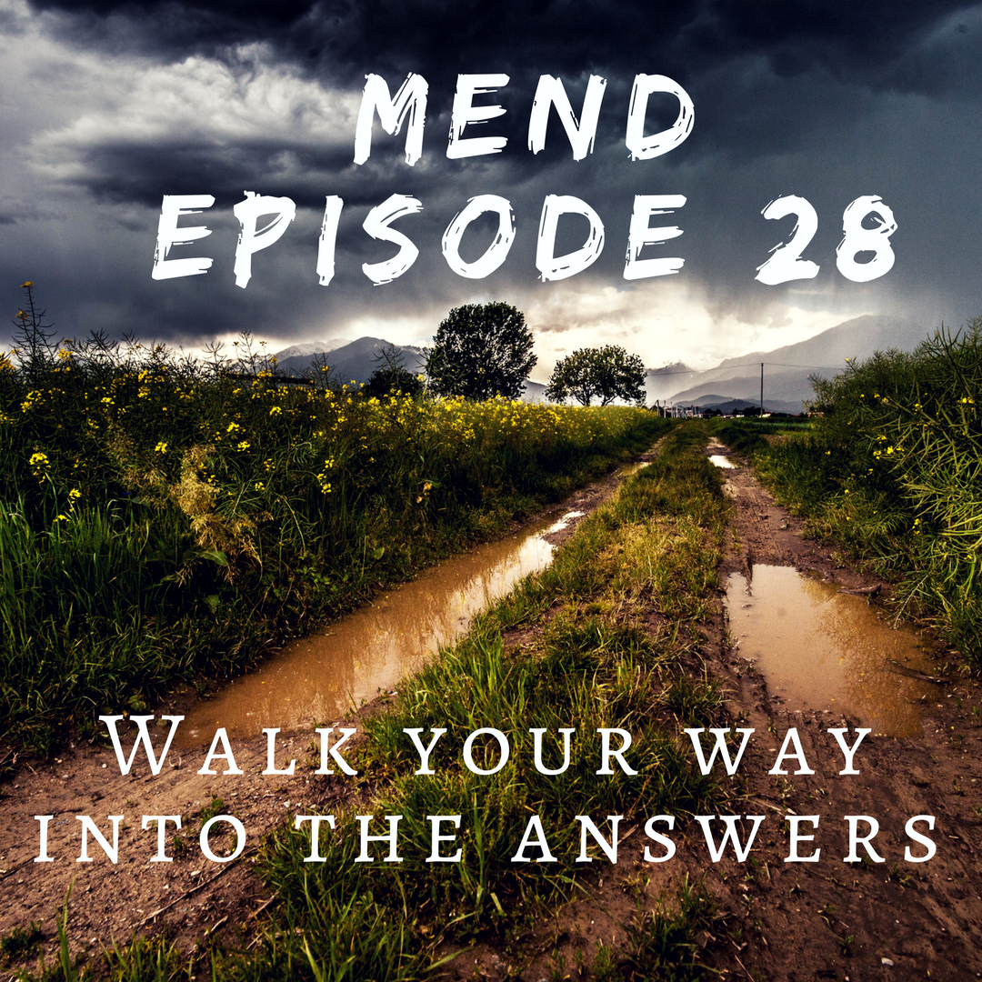 Beyond The Redwood Curtain Episodes Mend