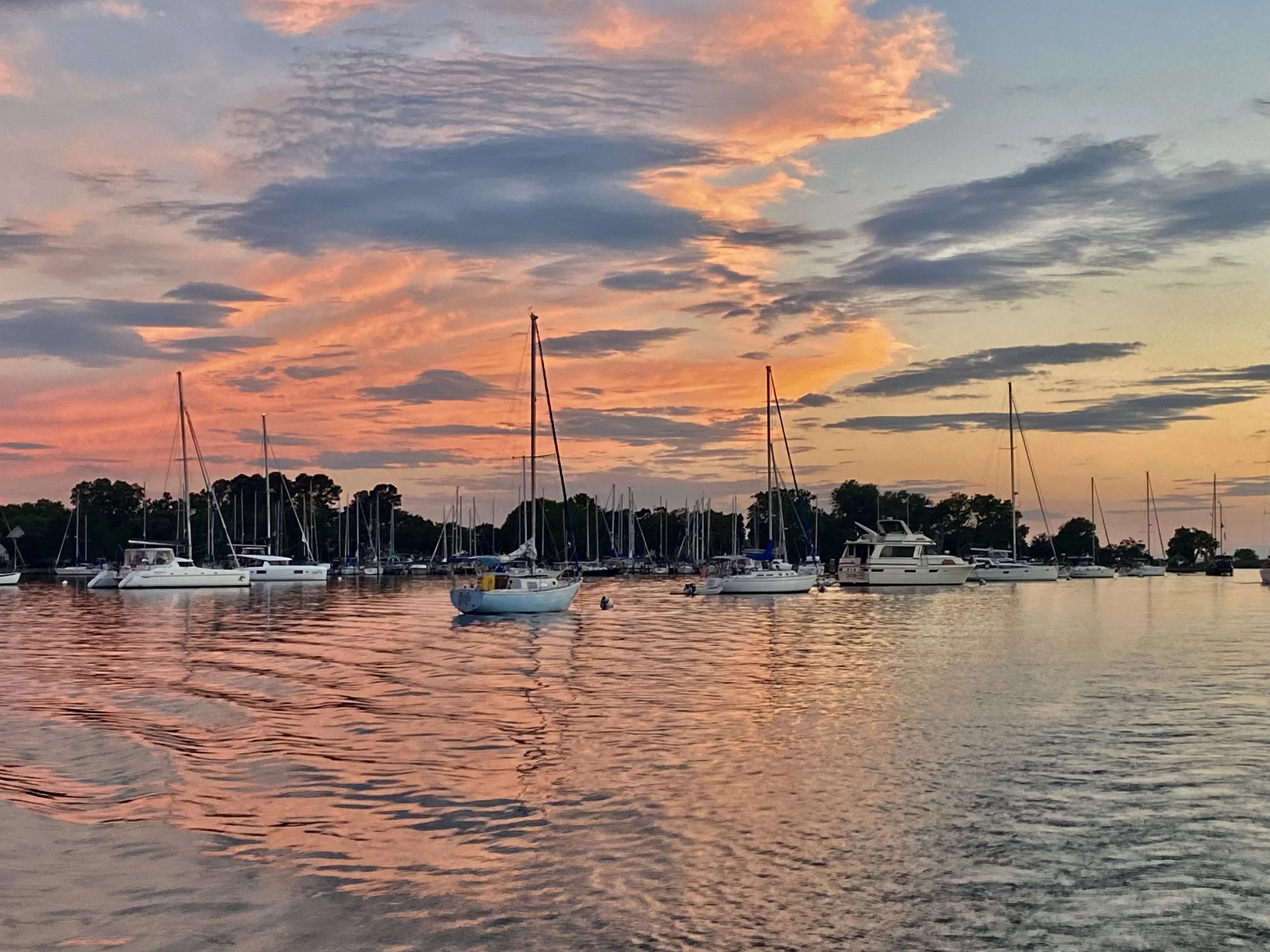 Rock Hall Harbor with sailboats