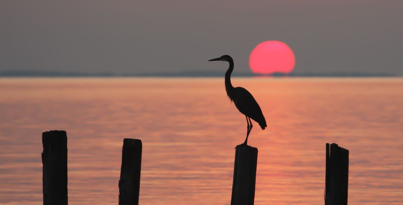 Sunset on the Chesapeake Bay