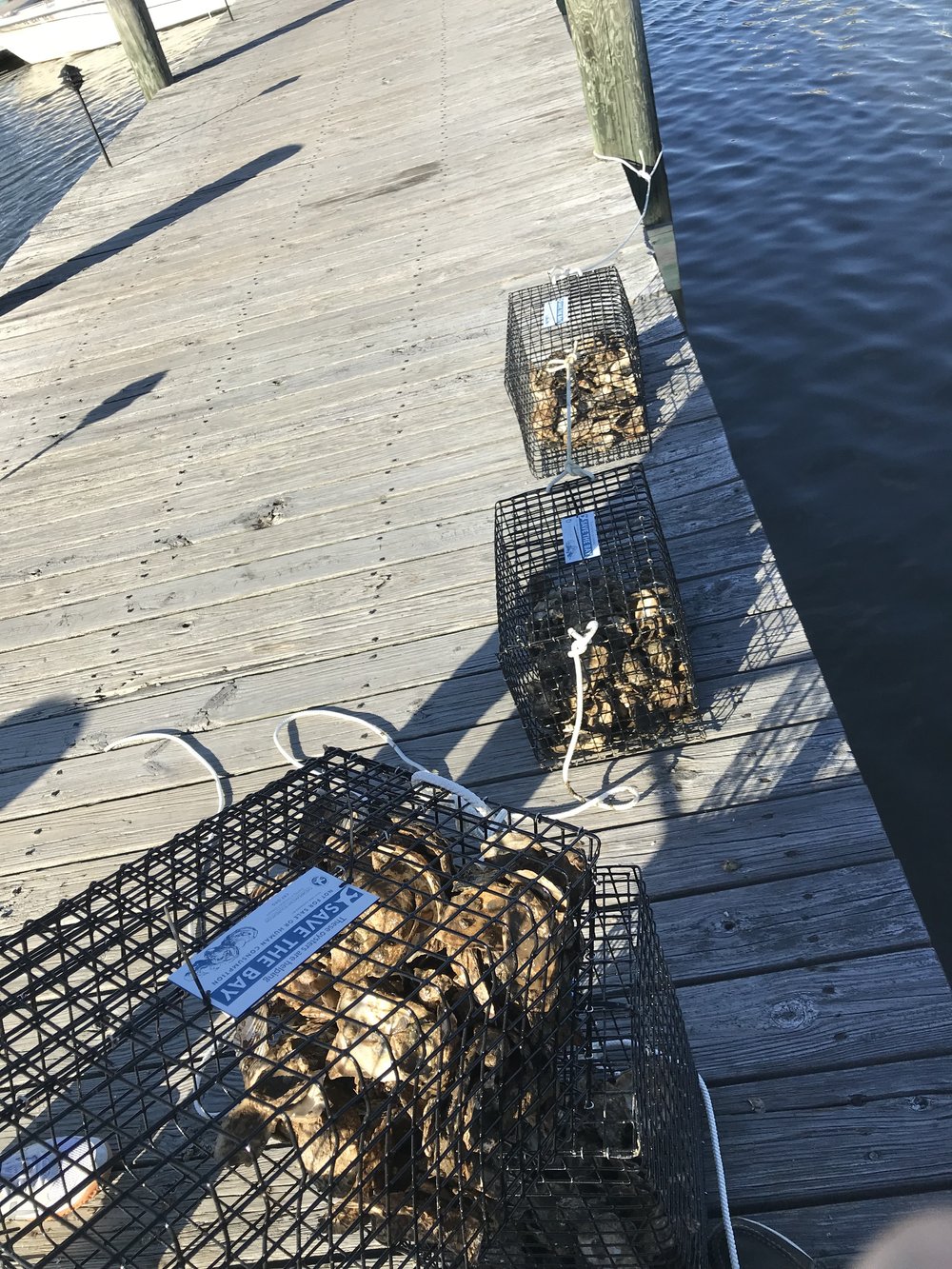 Oyster Cages for Farming.jpg