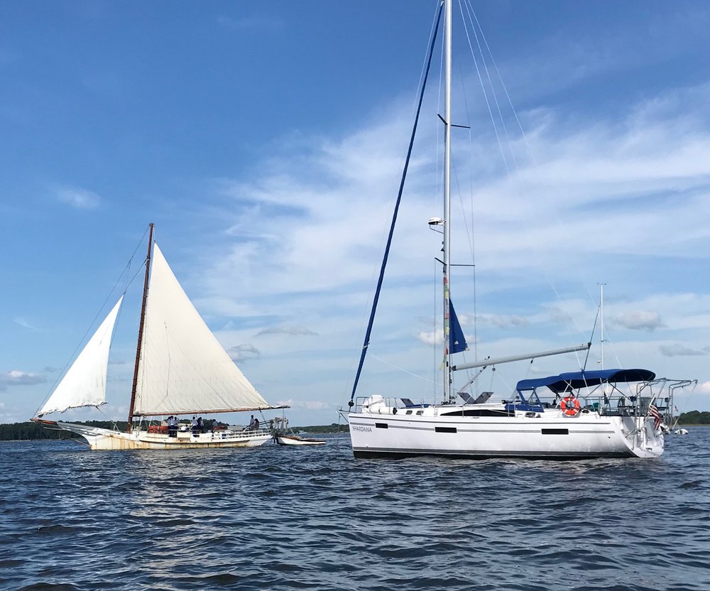 Chesapeake Bay Sailboats