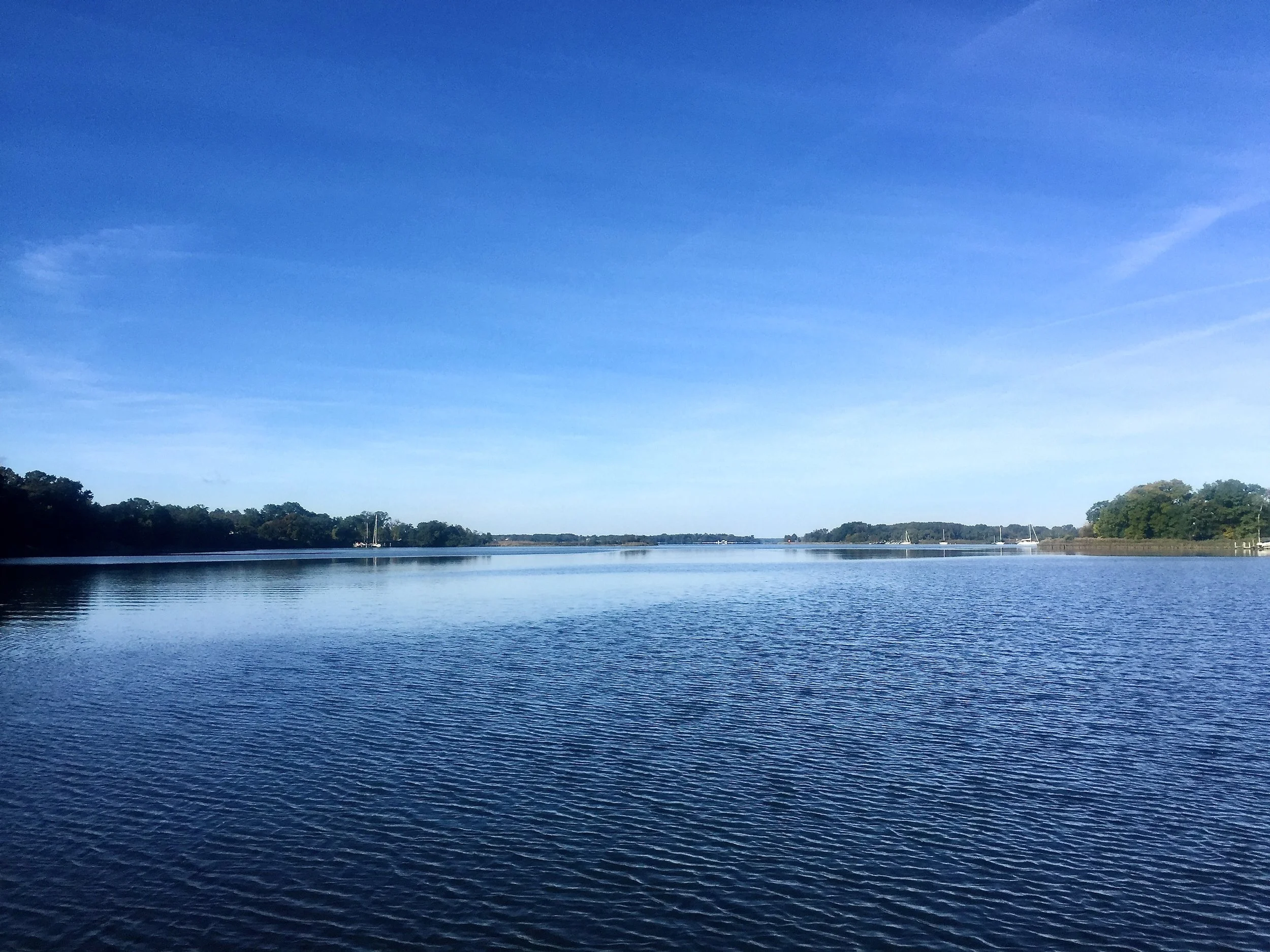 Anchored in the Corsica River connected to the Chester River