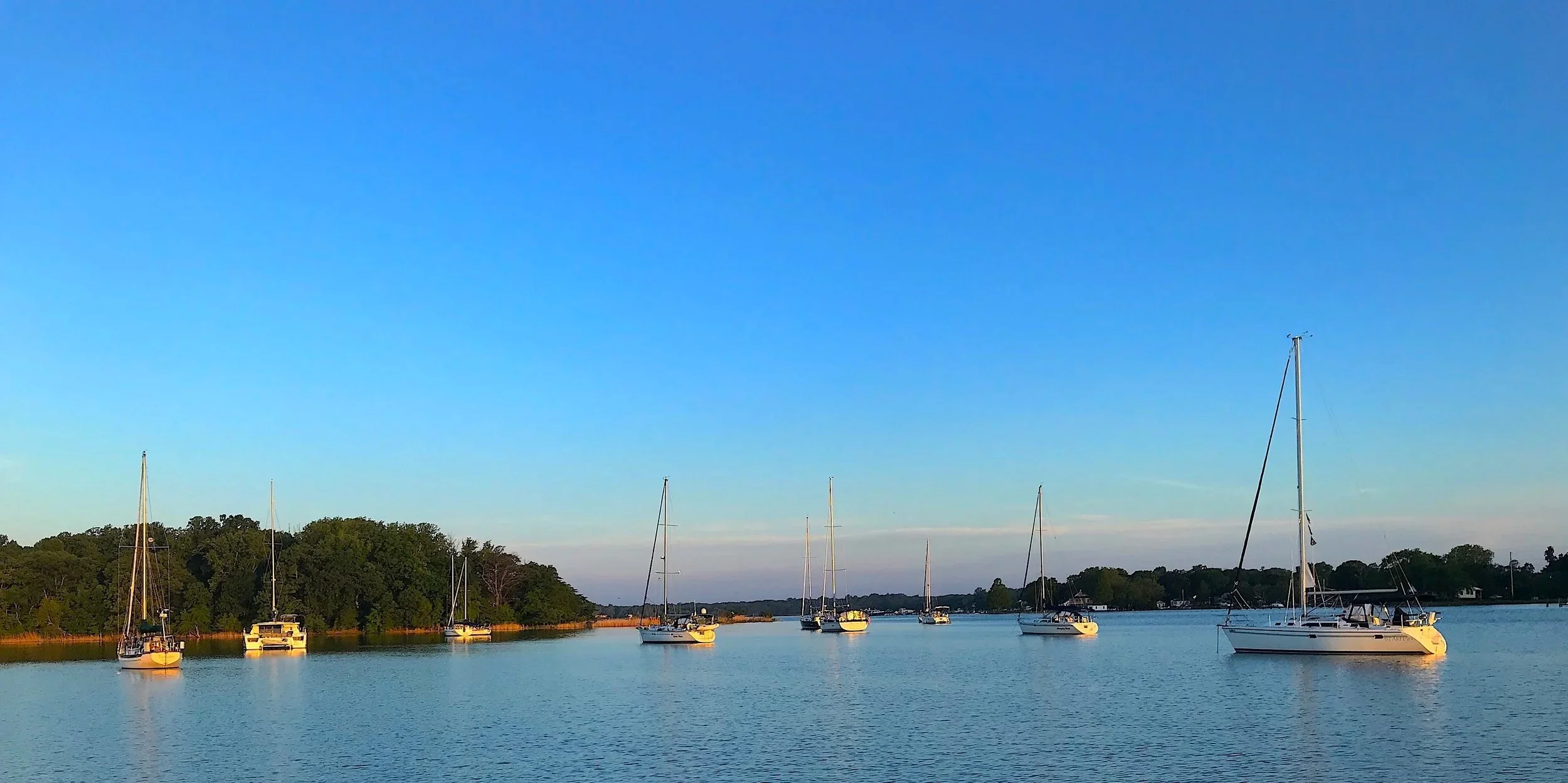 What the Chesapeake Bay Has That No Other Place in the U.S. Does