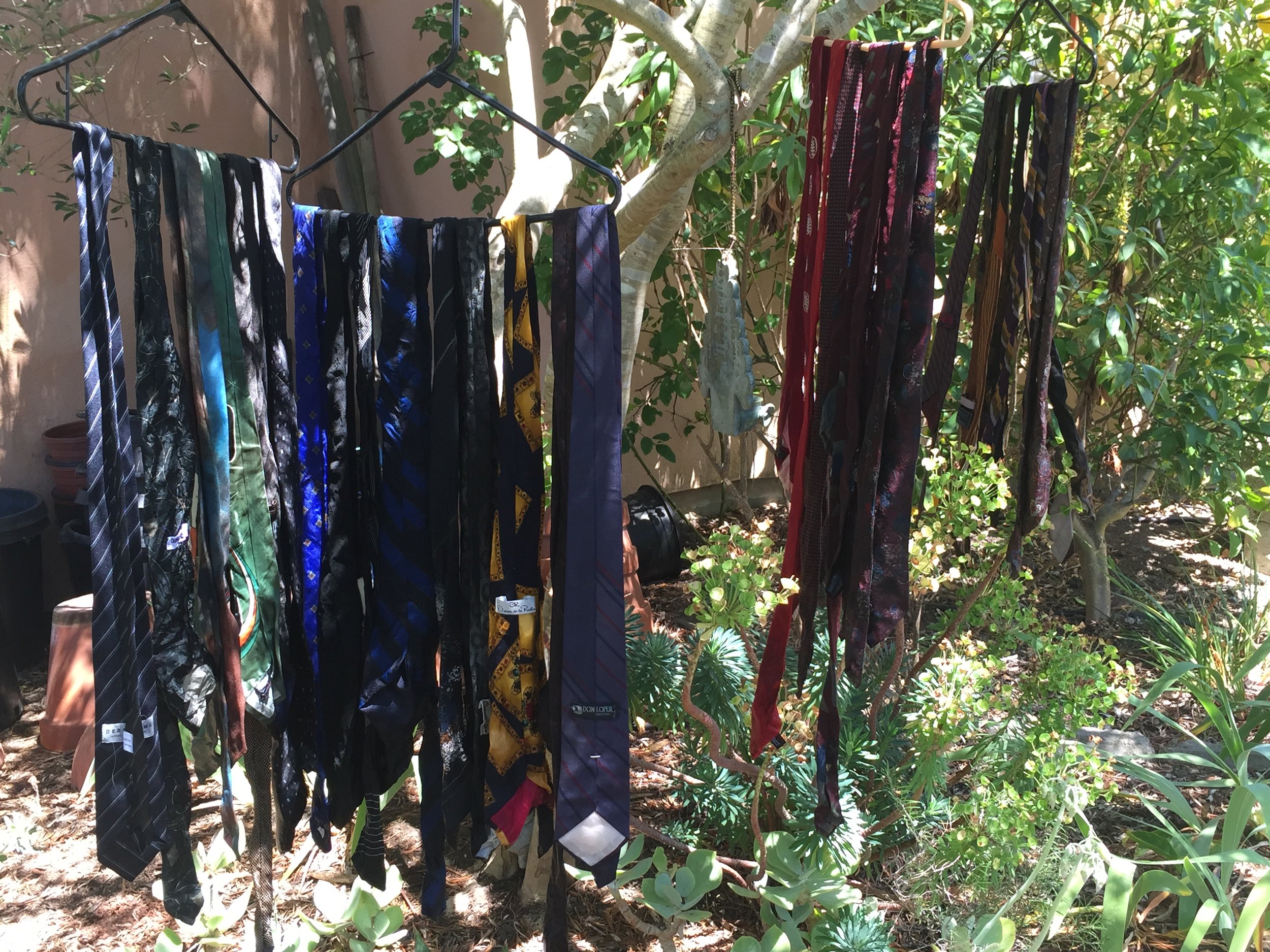 ties on hangers under tree.JPG