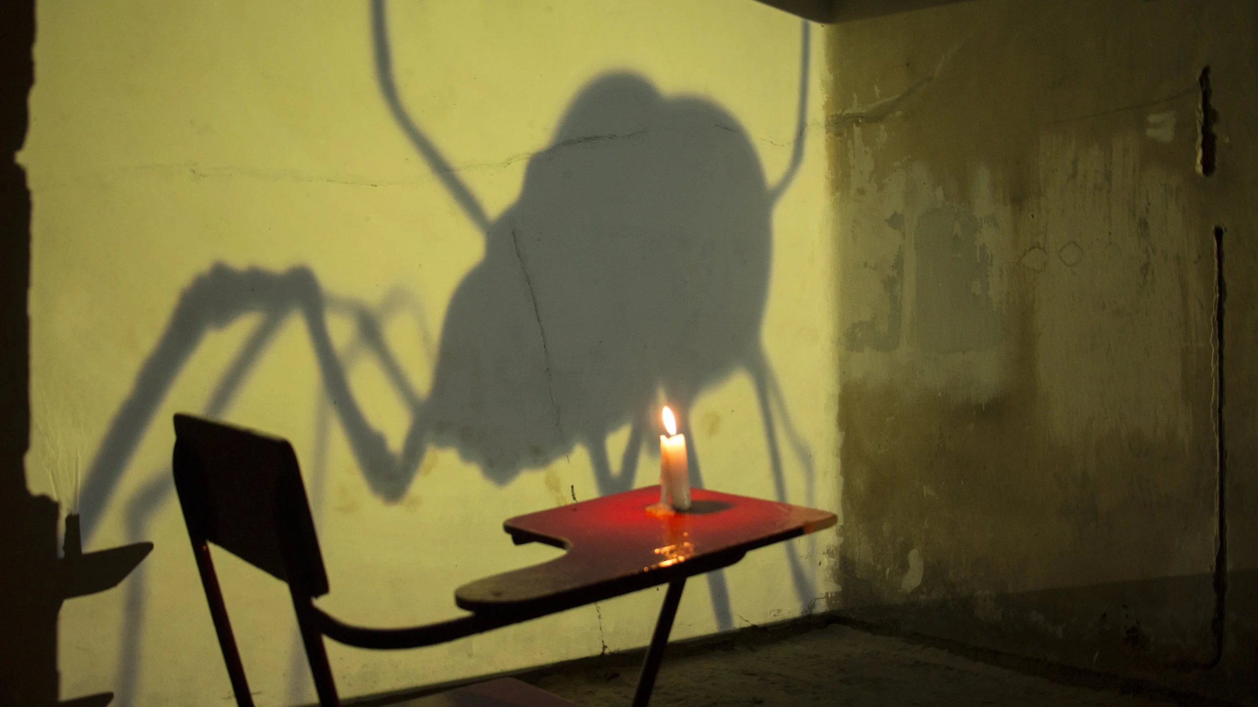 El cortejo a la hormiga roja - Lisbeth Carvajal Instalación 2018