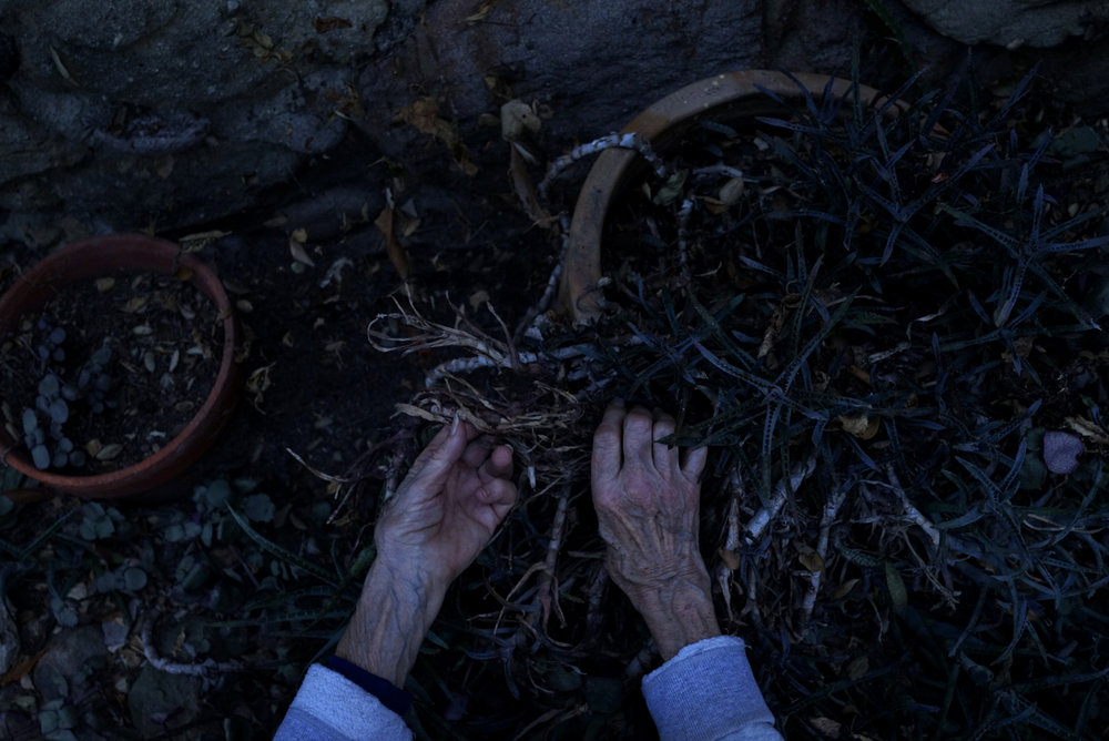 De la serie The Garden of Eva - Karla Gachet