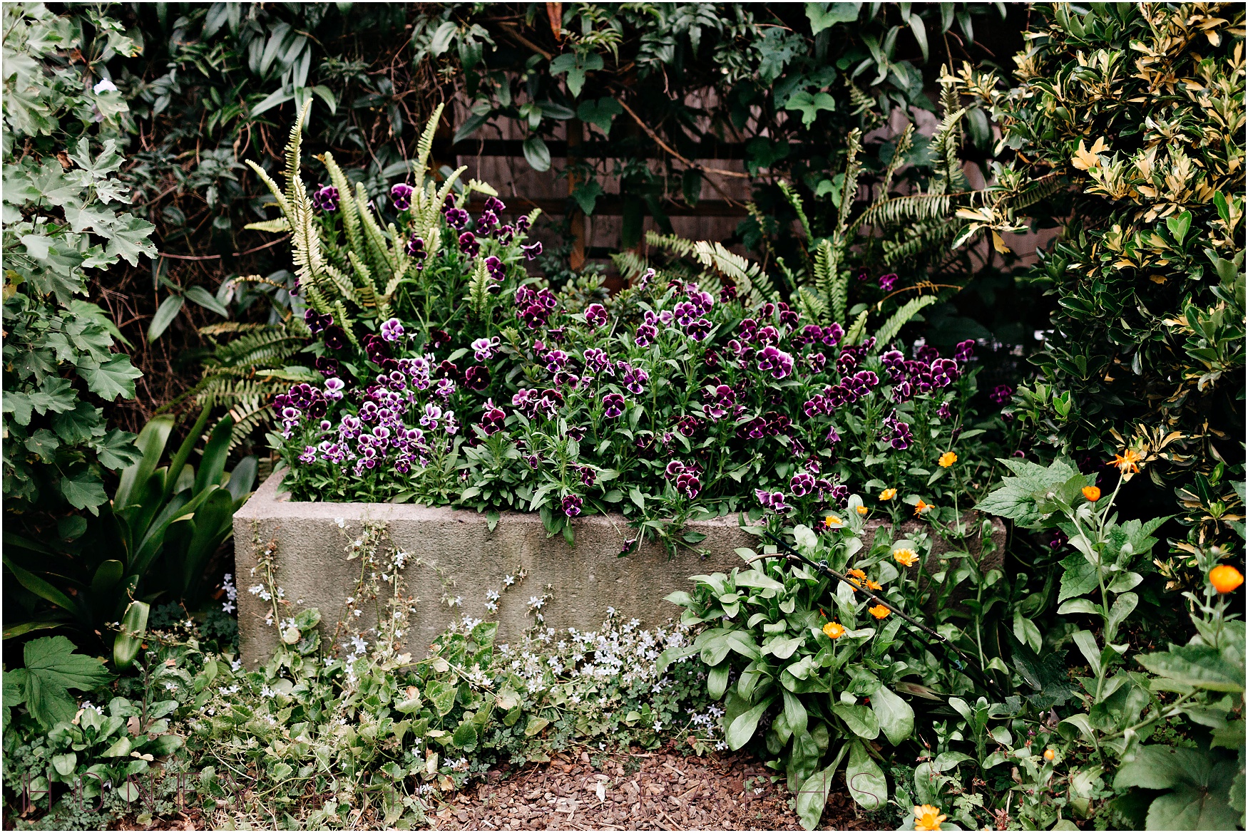 cambria-san-lois-obispo-wedding-garden-intimate45.jpg
