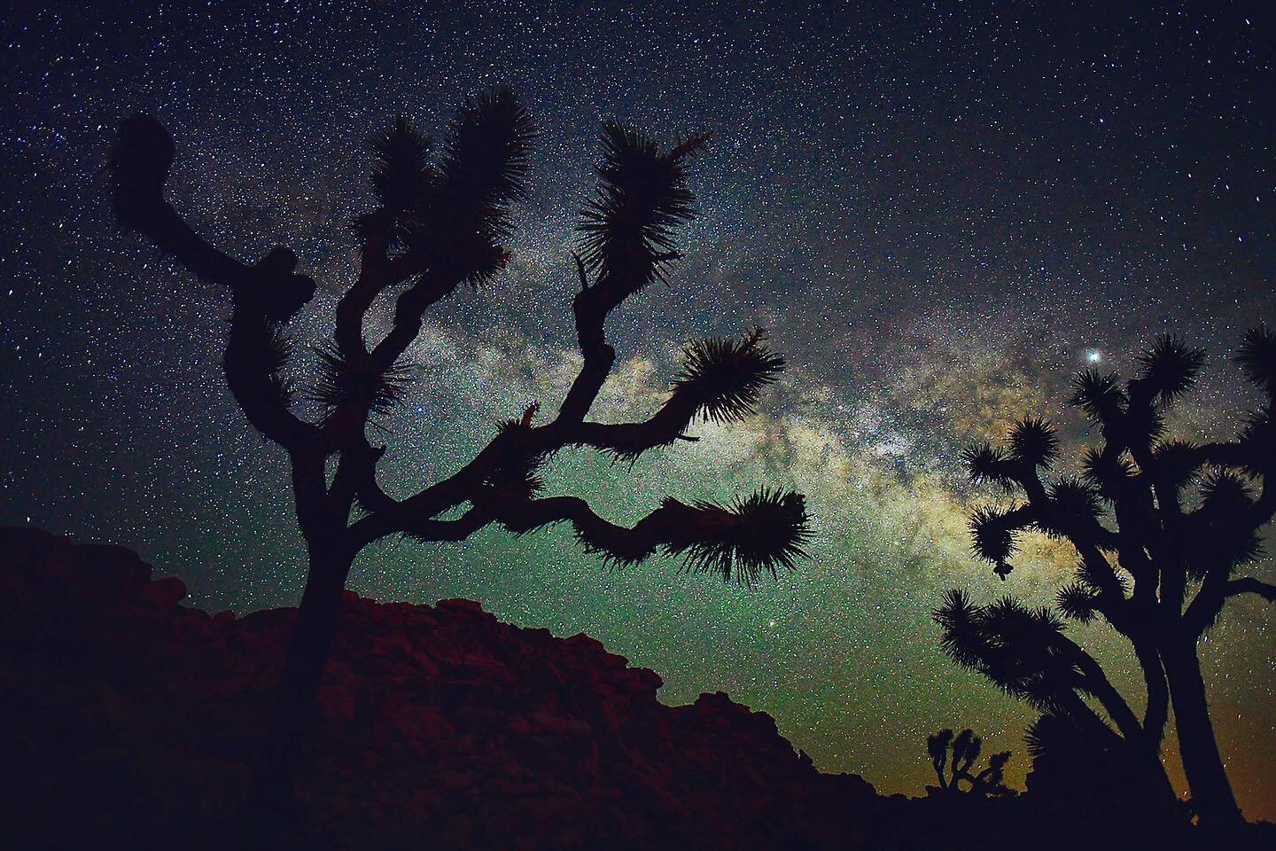 The best of memories ✨ #nightsky #astrophotography #joshuatree #milkyway #landscapes #mood #nikonz6 #aov #skylovers #lightandshadow