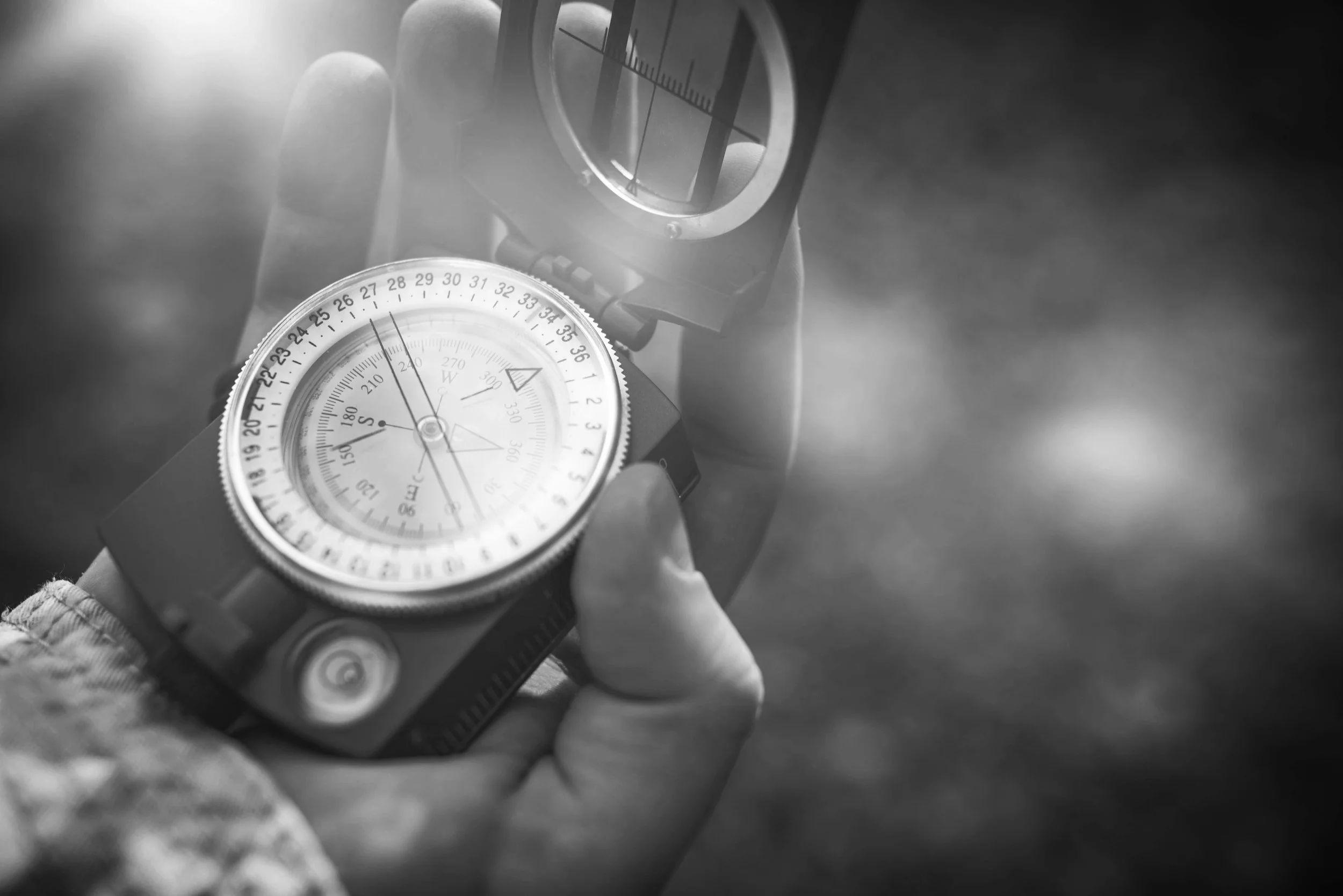 AdobeStock_110451513.jpeg