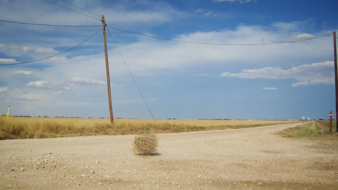 tumble weed.jpg
