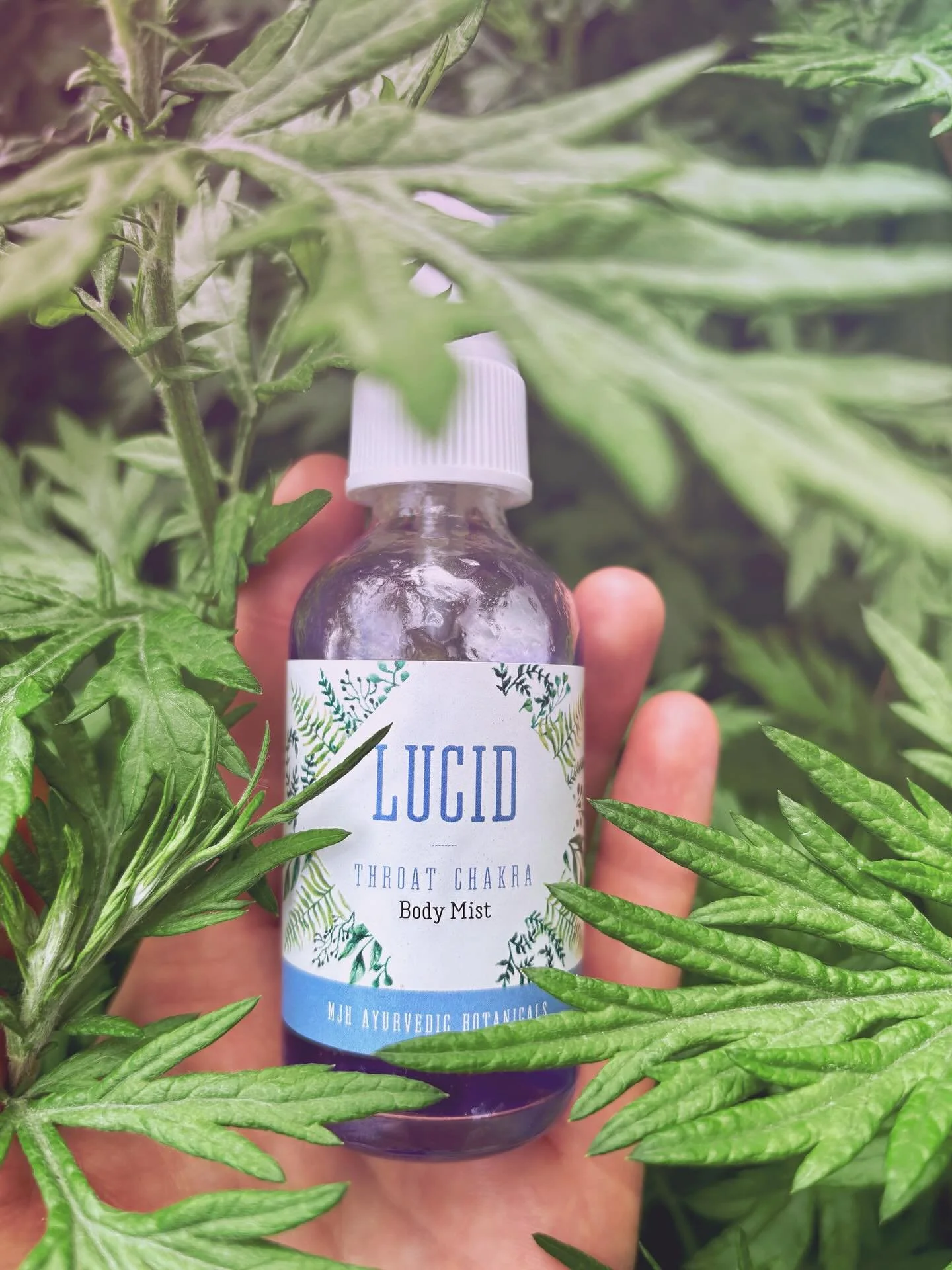 Fresh as heck new products and a re-vamp of an old favorite! ✨☀️✨ I&rsquo;ve told myself on a number of occasions that I don&rsquo;t need to make any more products, that the apothecary feels complete, that there&rsquo;s nothing else left to create, a