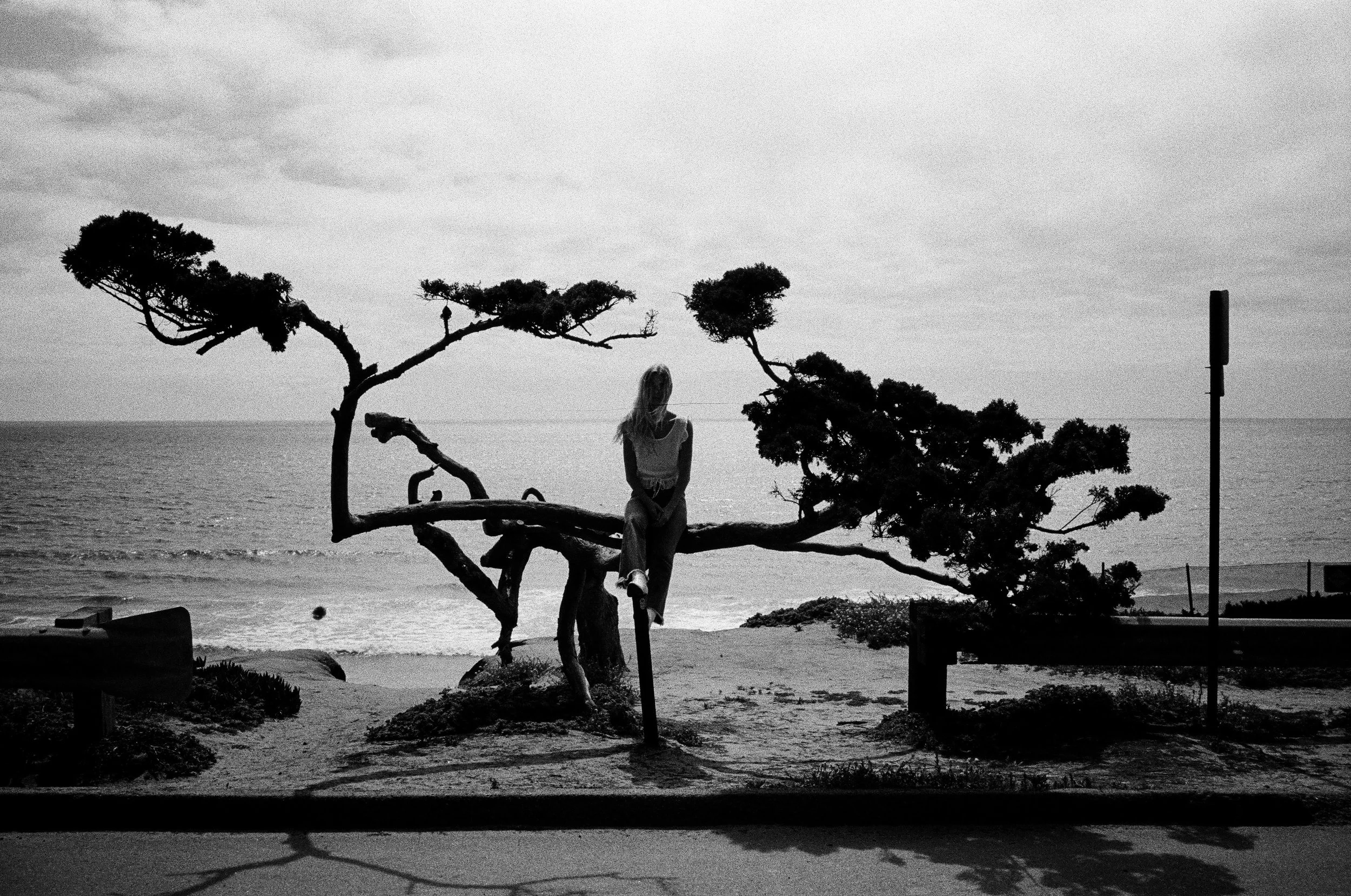 400tx_1669-resized-33.jpg