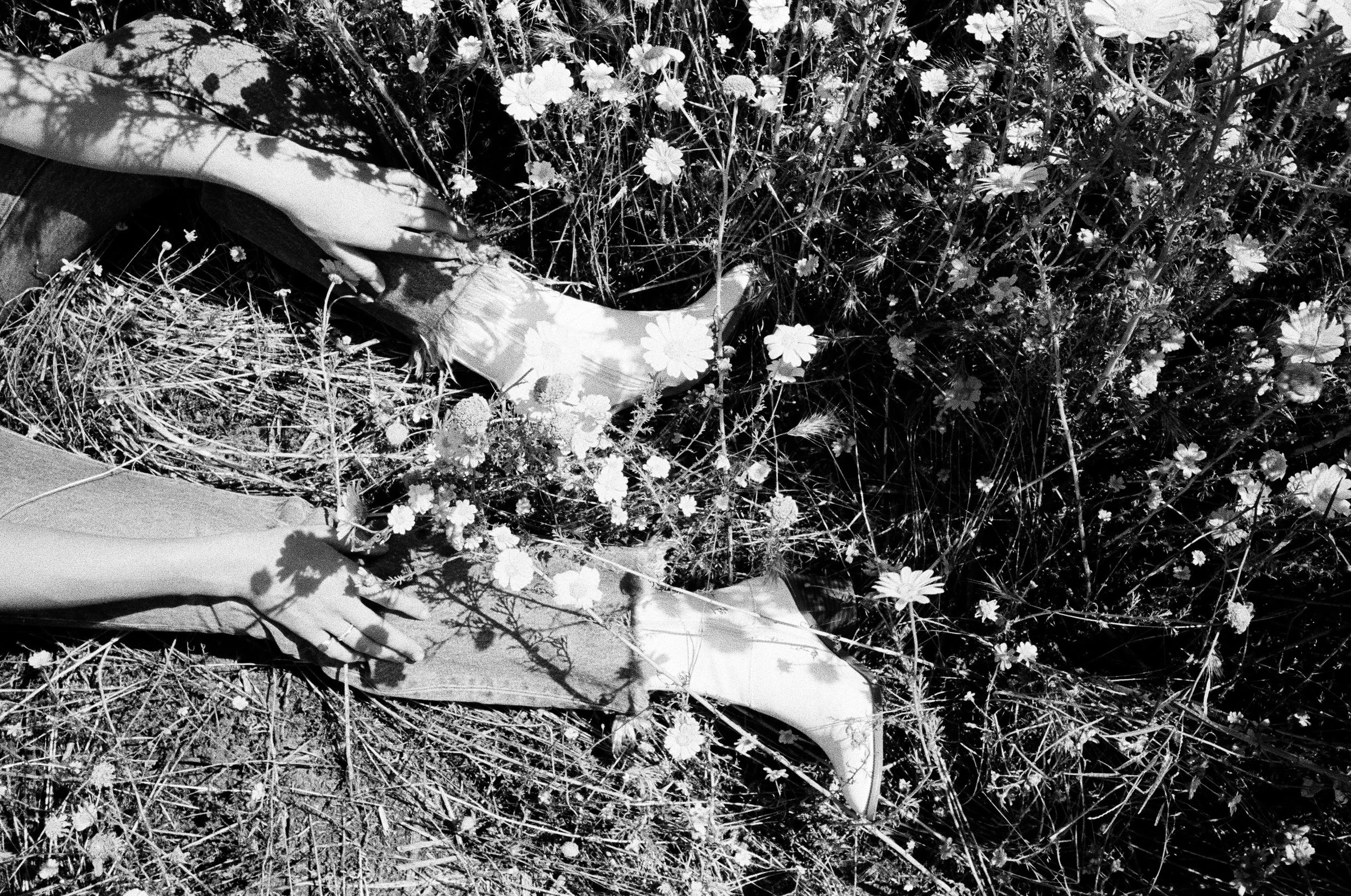400tx_1669-resized-26.jpg