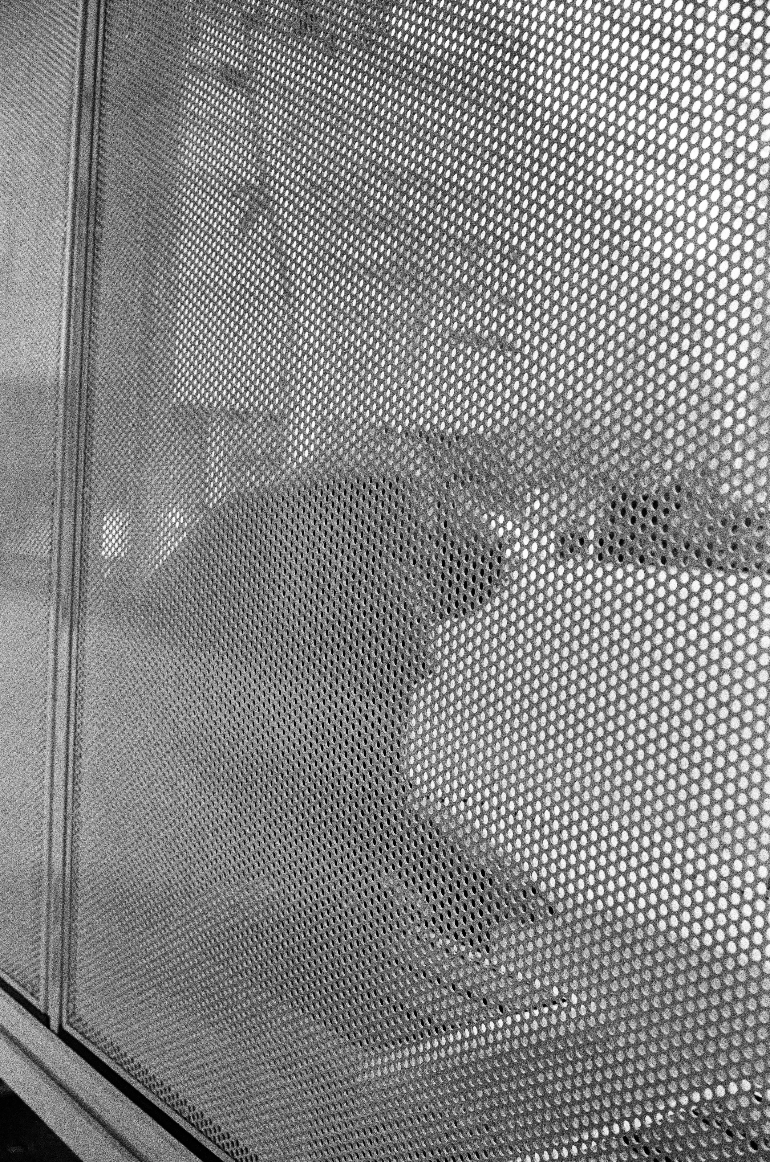 400tx_1669-resized-34.jpg