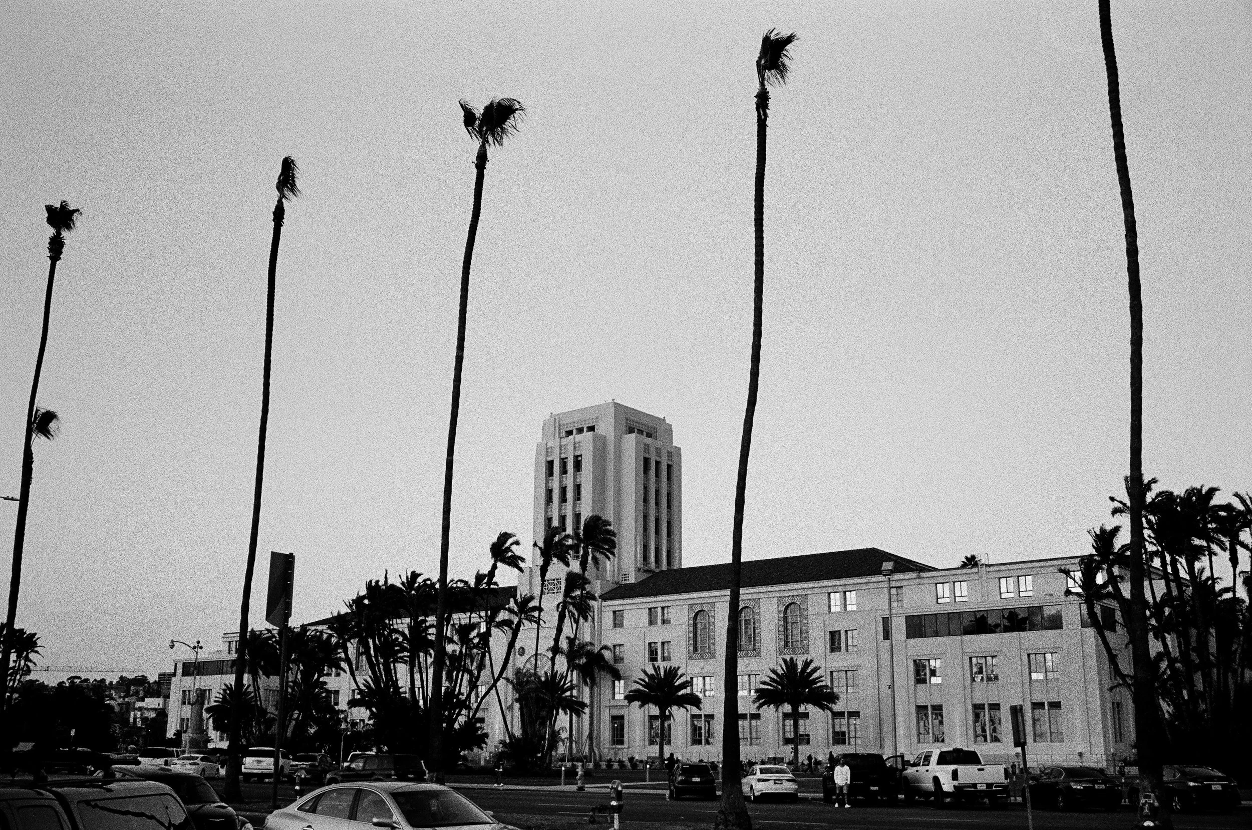 400tx_1669-resized-20.jpg
