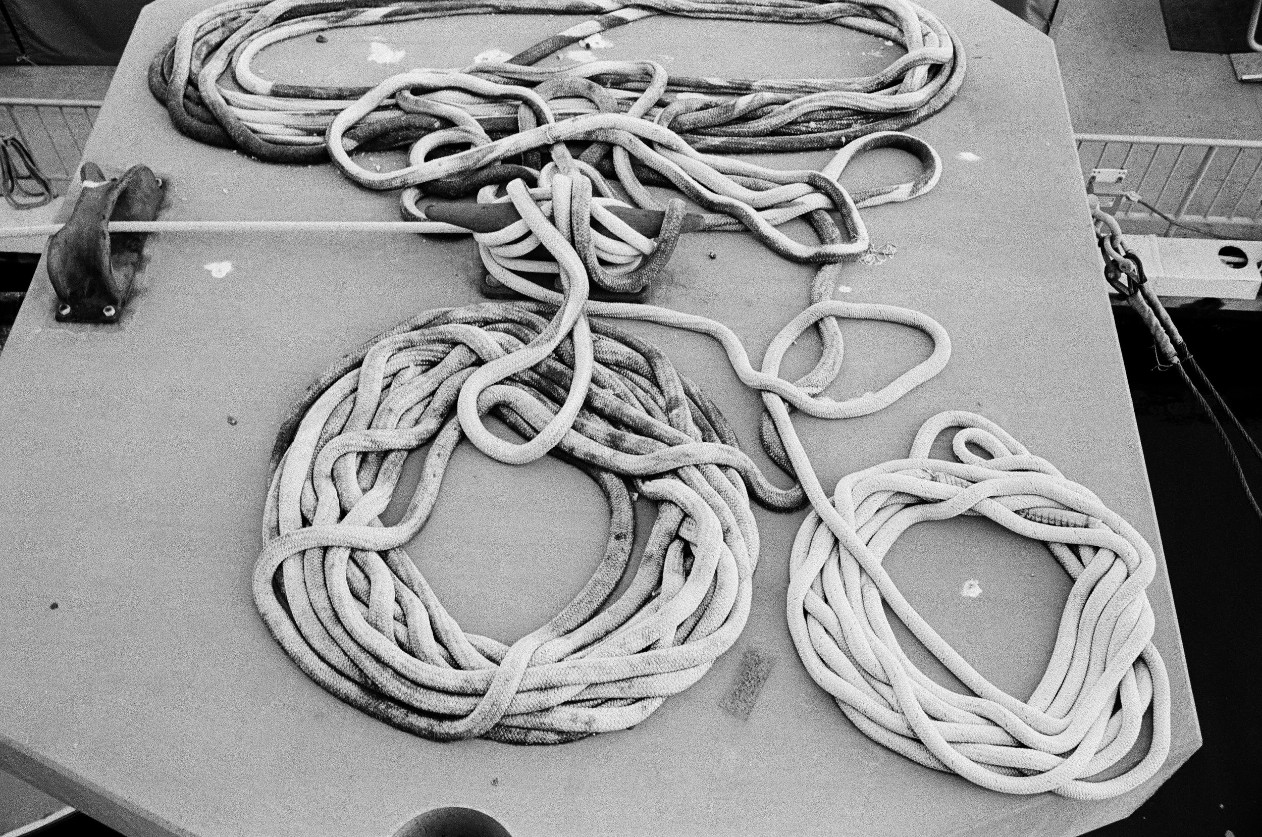 400tx_1669-resized-18.jpg
