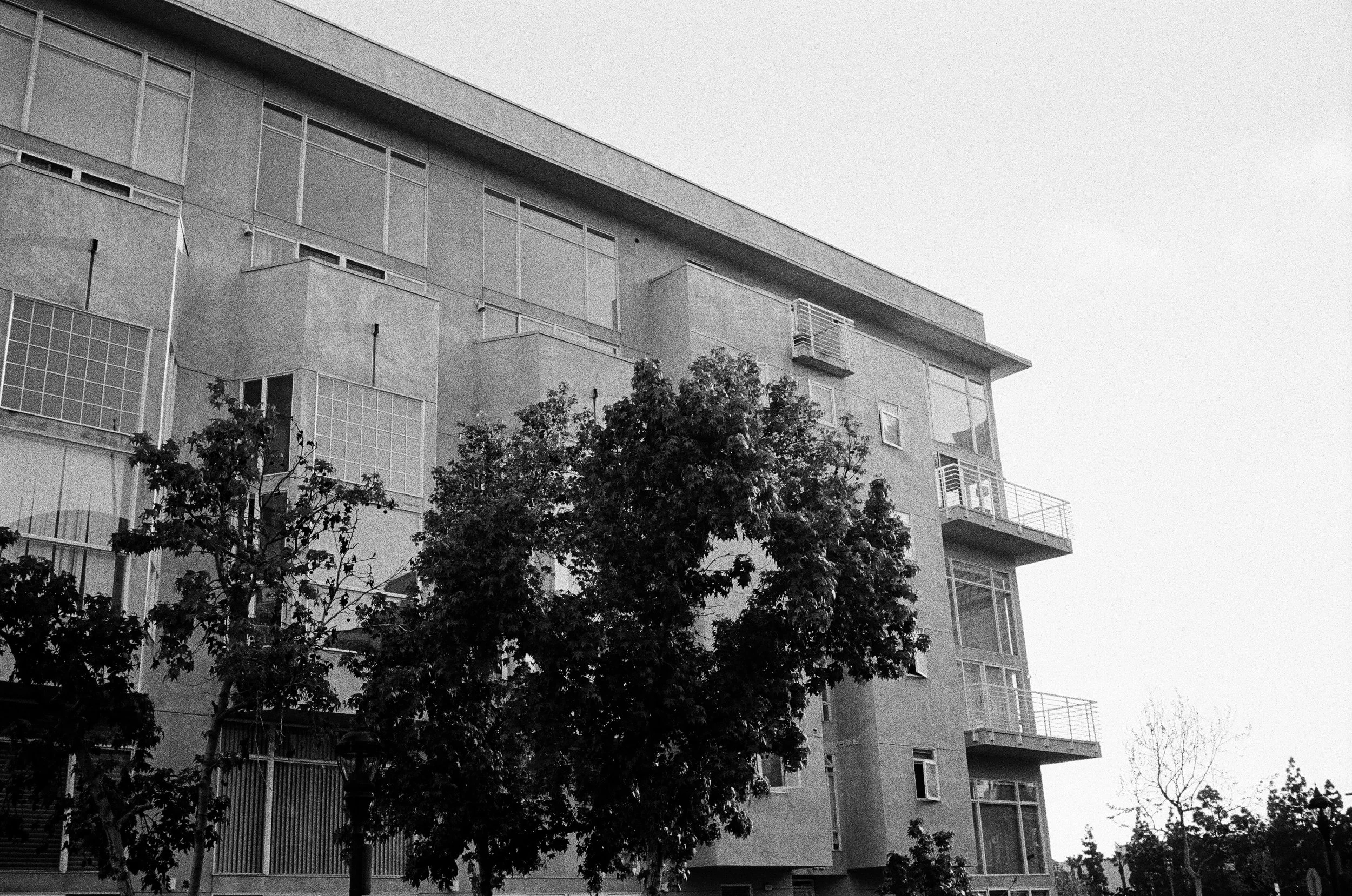 400tx_1669-resized-12.jpg