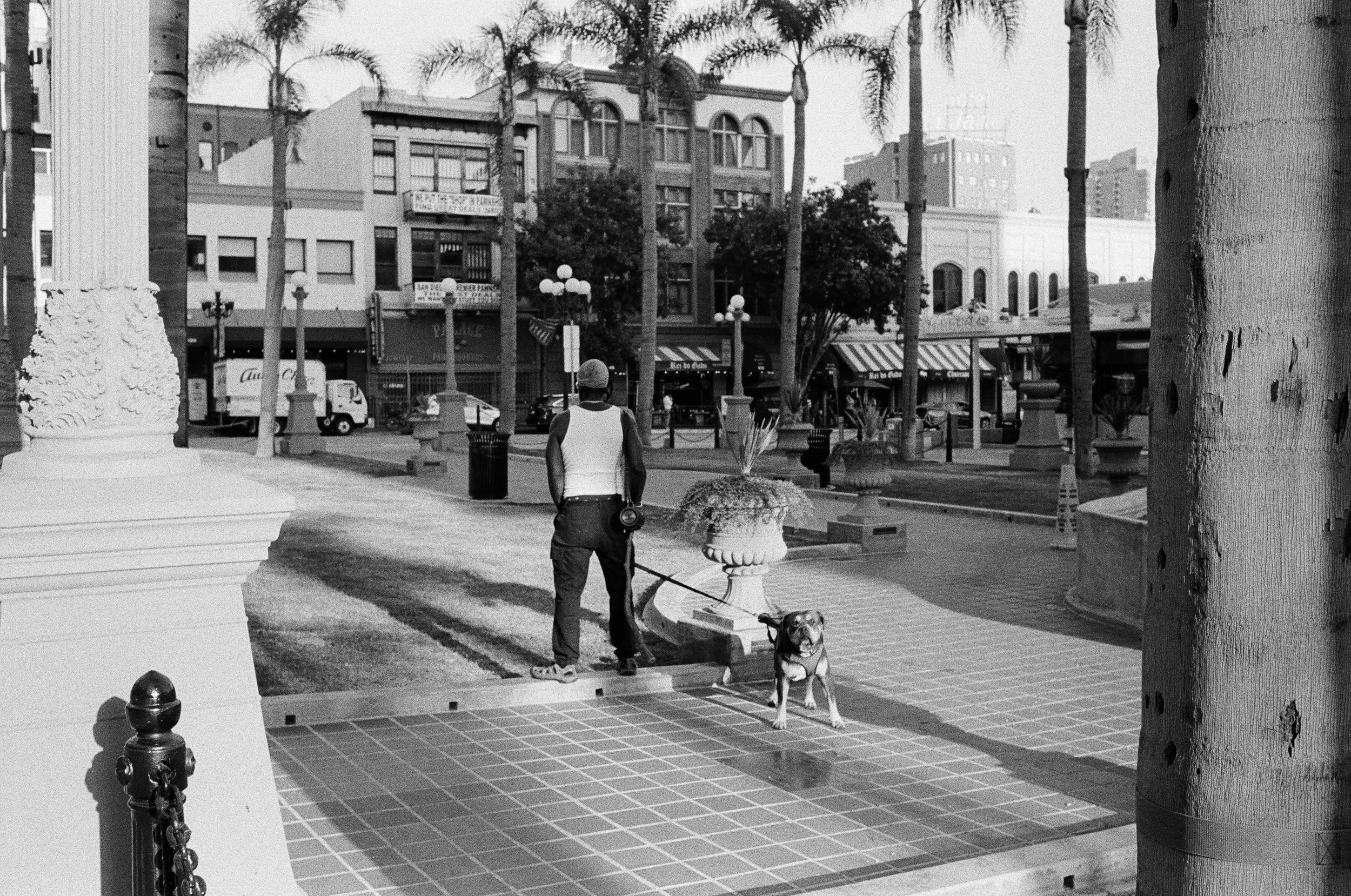 400tx_1669-resized-8.jpg