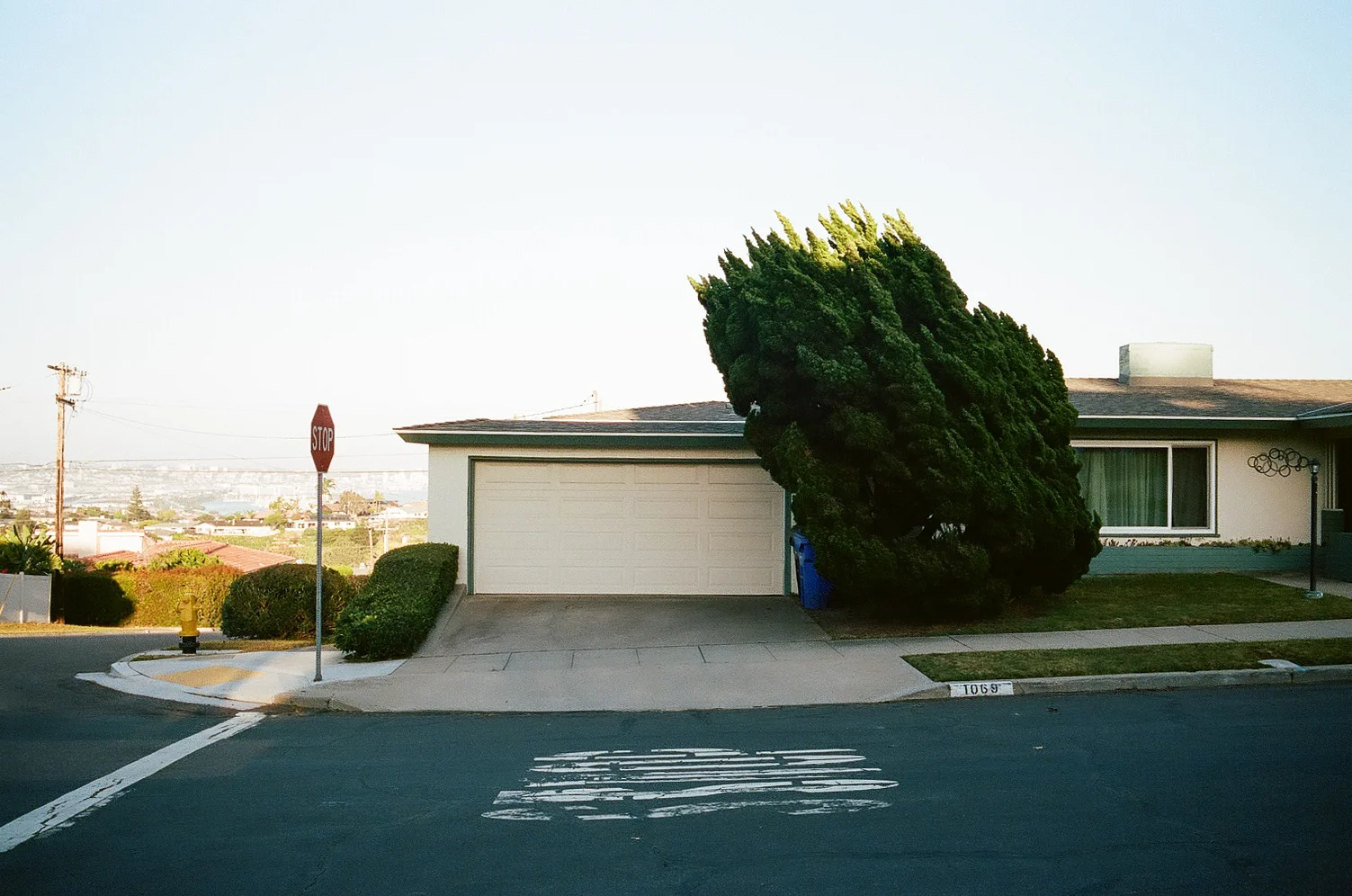 Portra_400_4176-resized-29.jpg