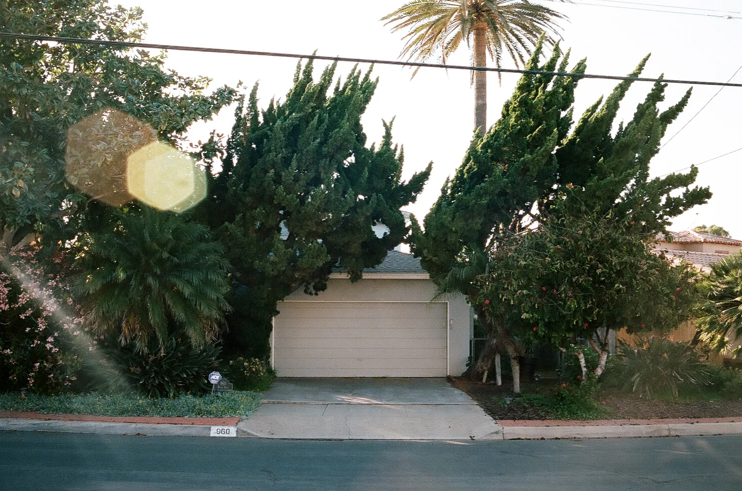 Portra_400_4176-resized-24.jpg