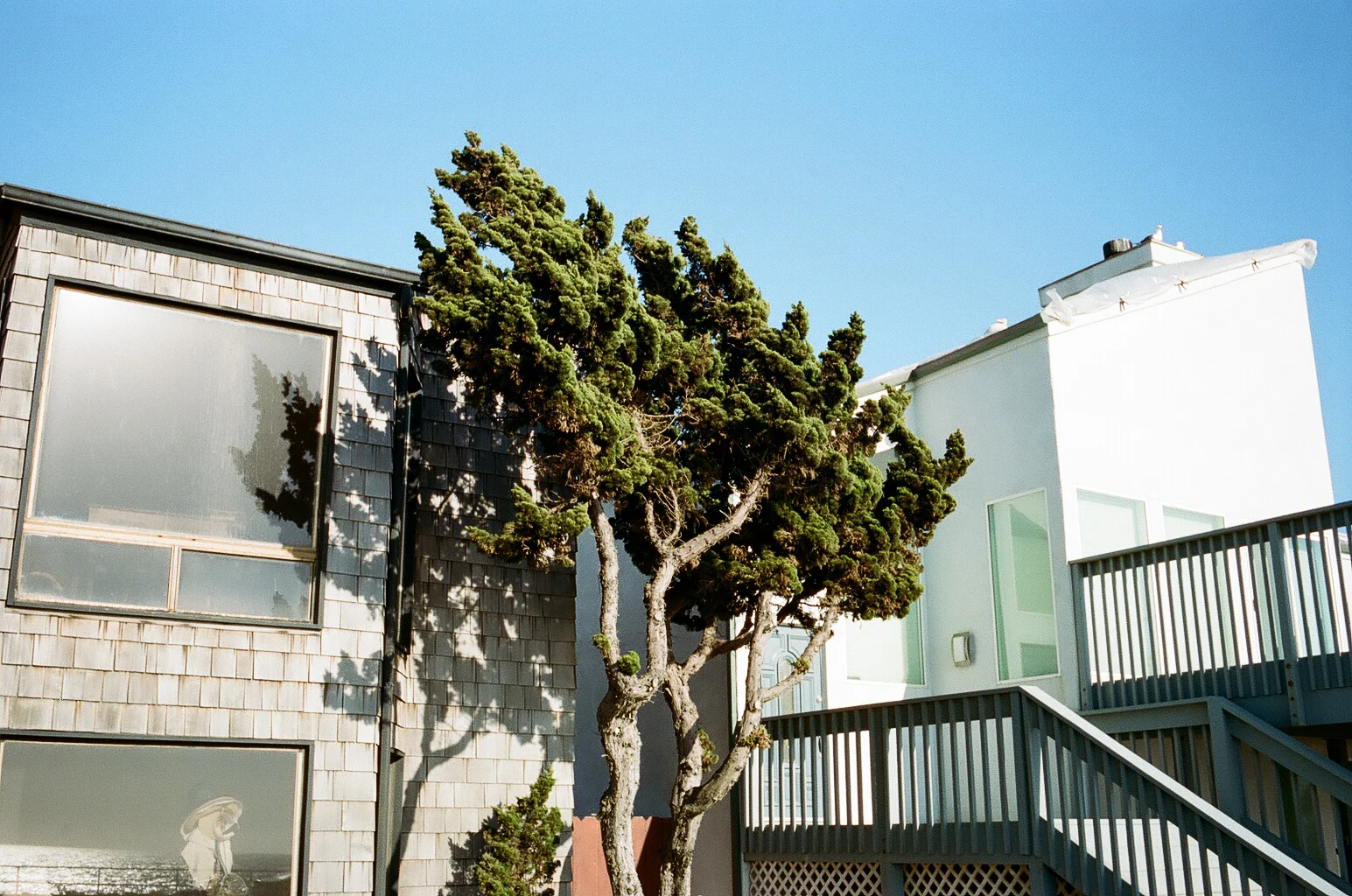 Portra_400_4176-resized-14.jpg