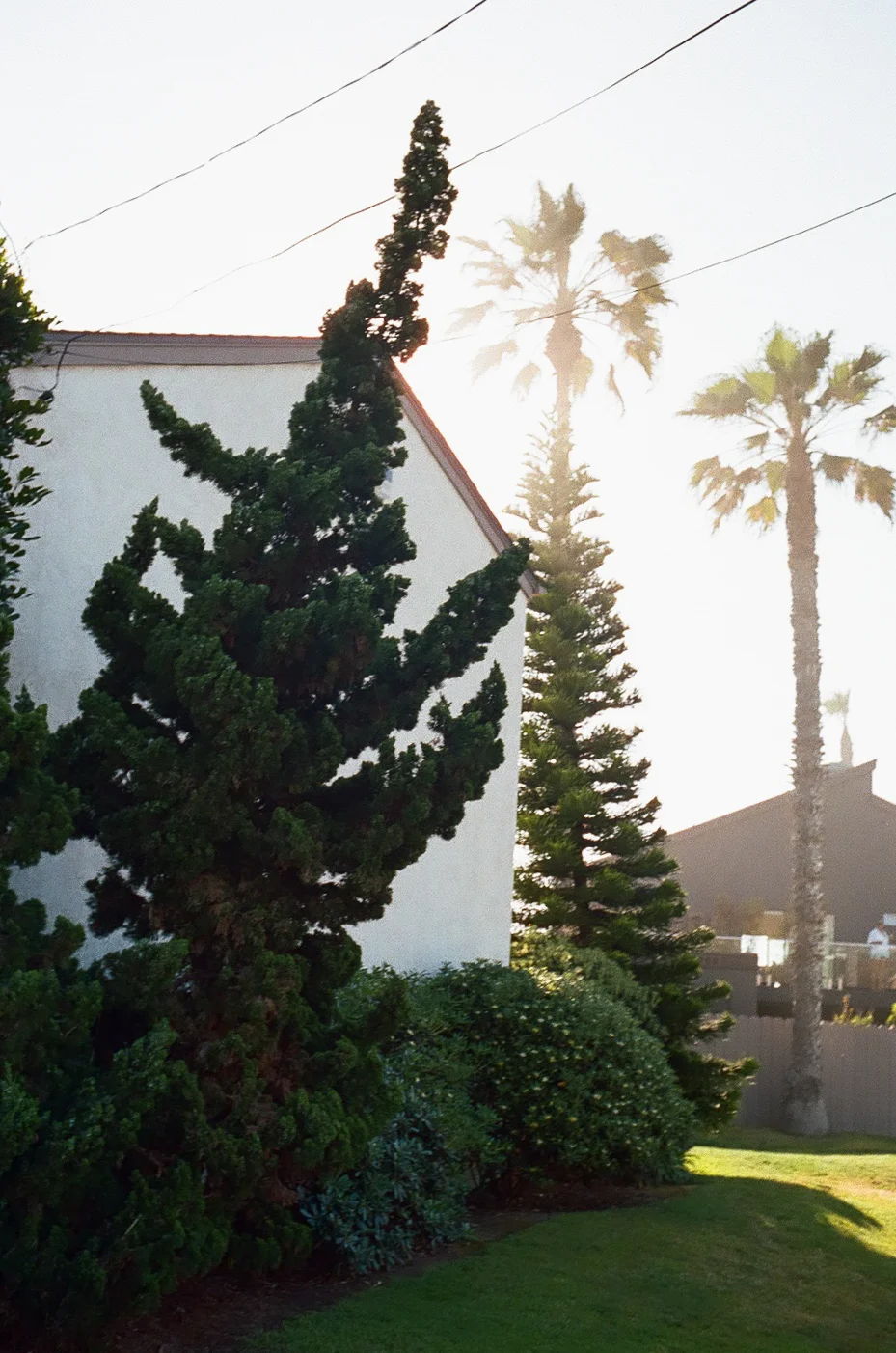 Portra_400_4176-resized-13.jpg
