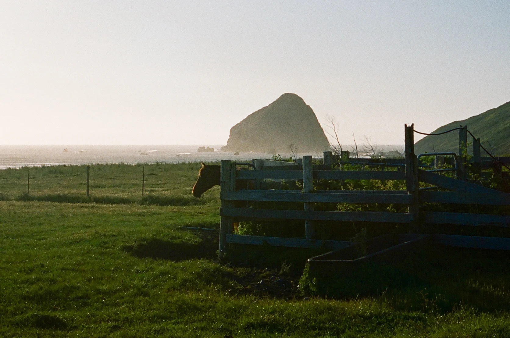 Lost Coast_Film_ 3481-19.jpg