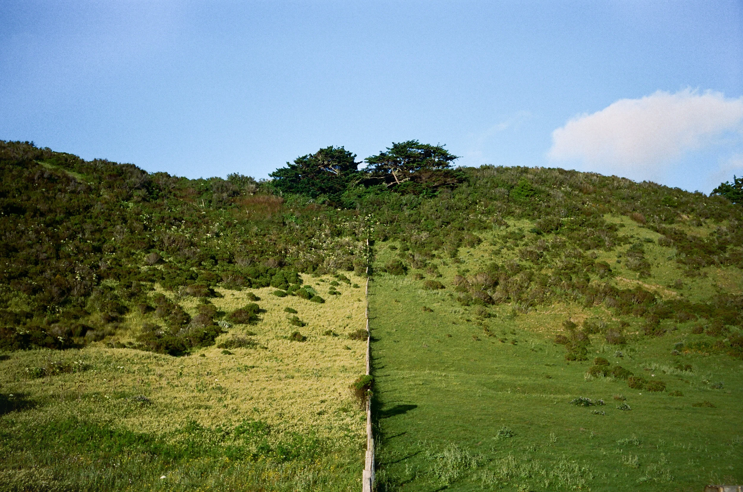 Lost Coast_Film_ 3481-20.jpg