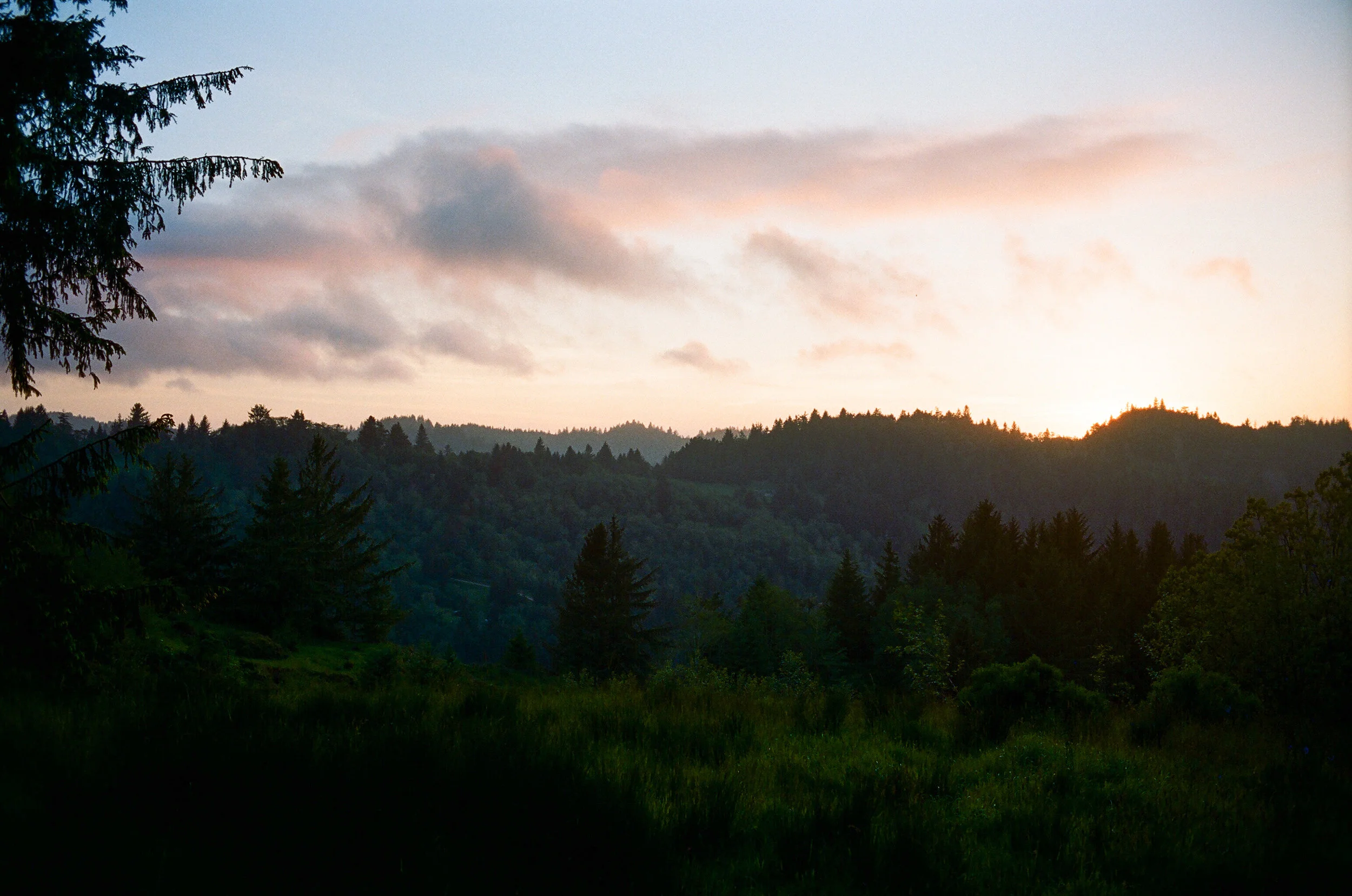Lost Coast_Film_ 3481-26.jpg