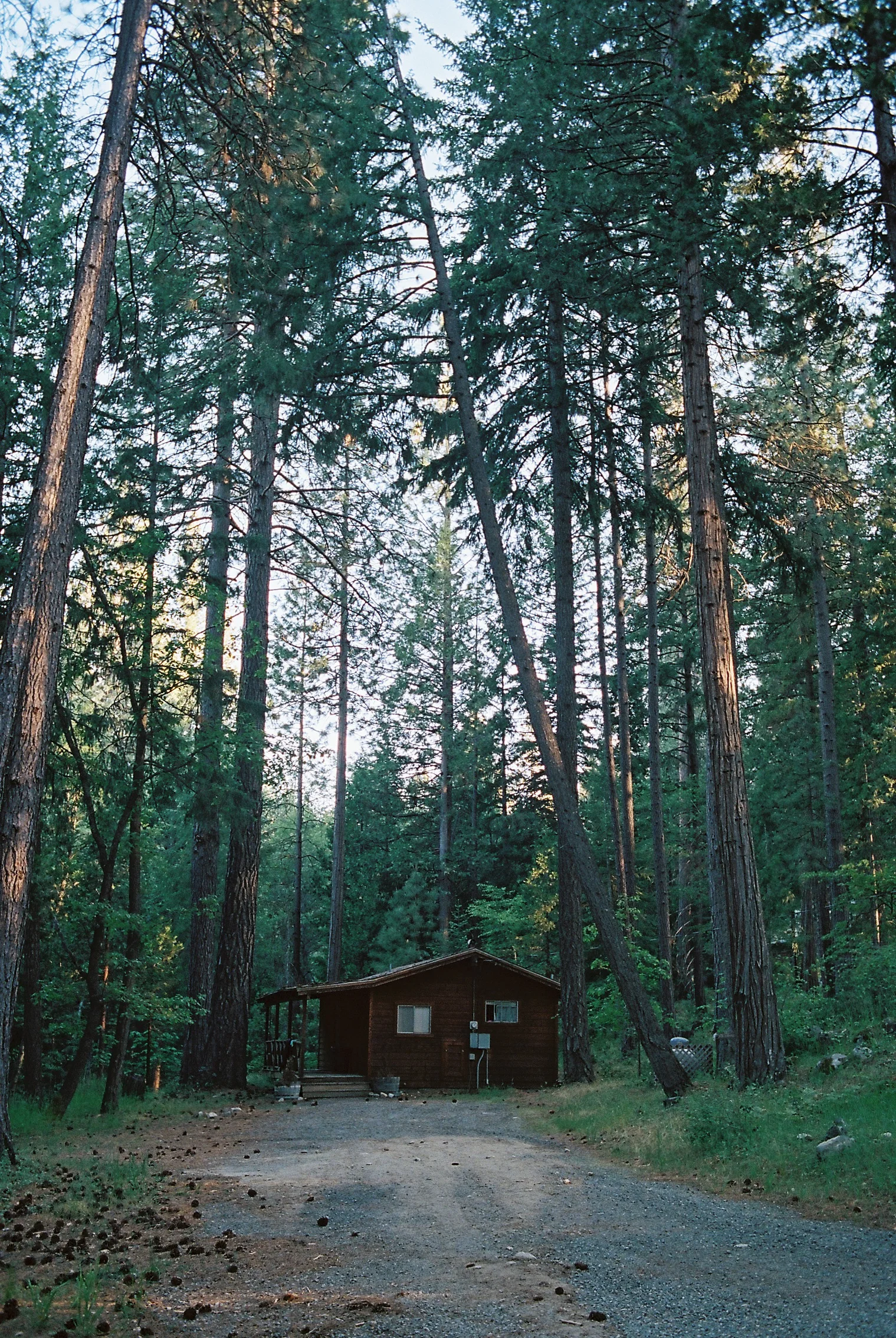 JH Ranch_Roll_2301-14.jpg